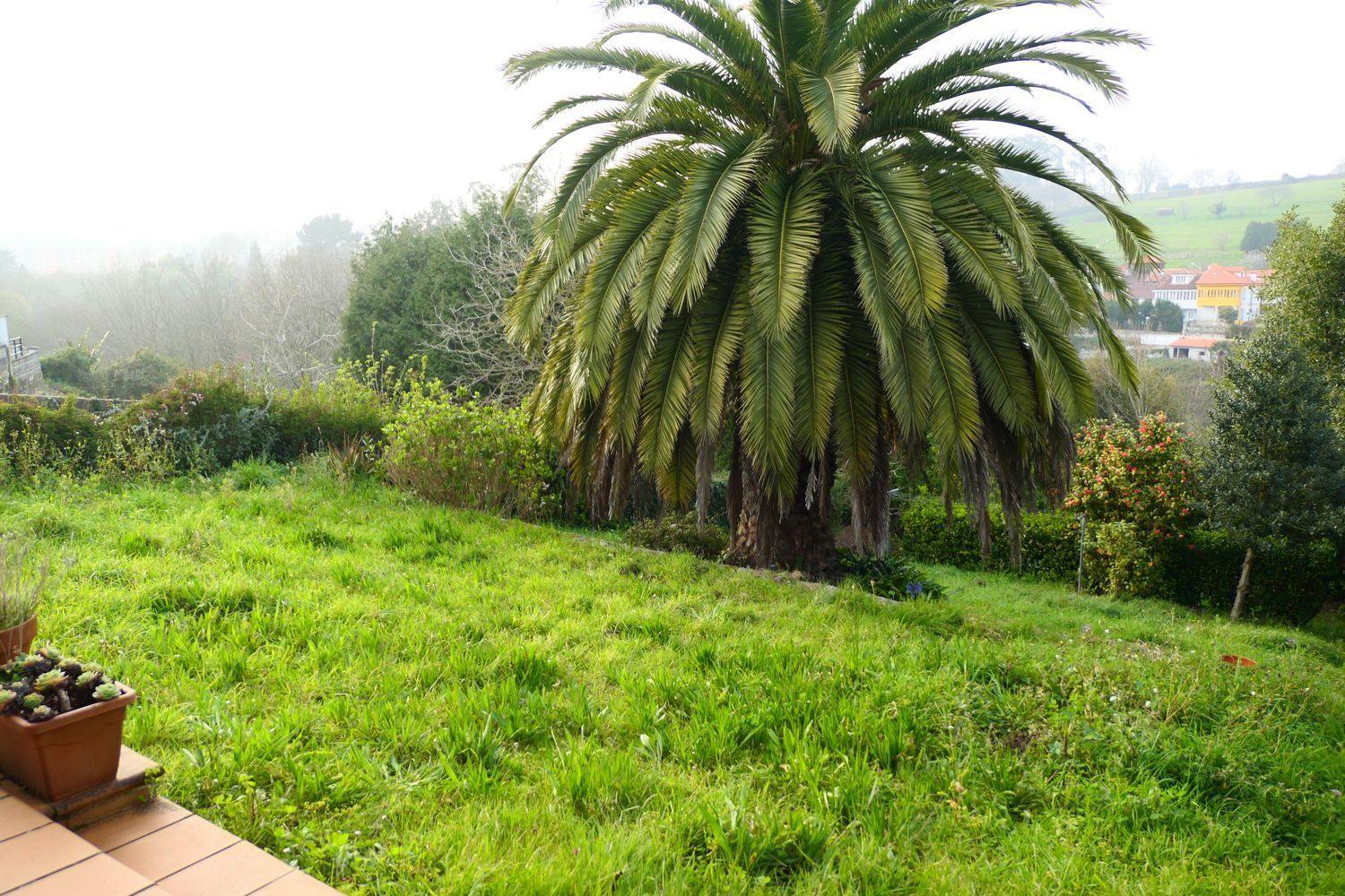 Casas o chalets-Venta-Muros de NalÃ³n-2207358-Foto-14