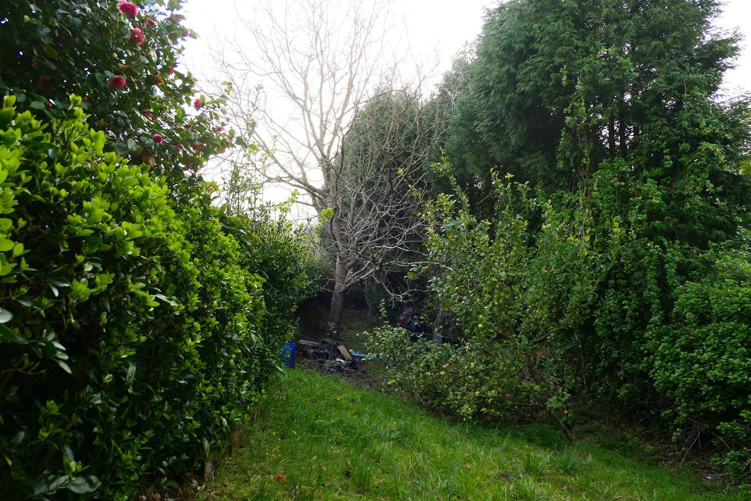 Casas o chalets-Venta-Muros de NalÃ³n-2207358-Foto-18