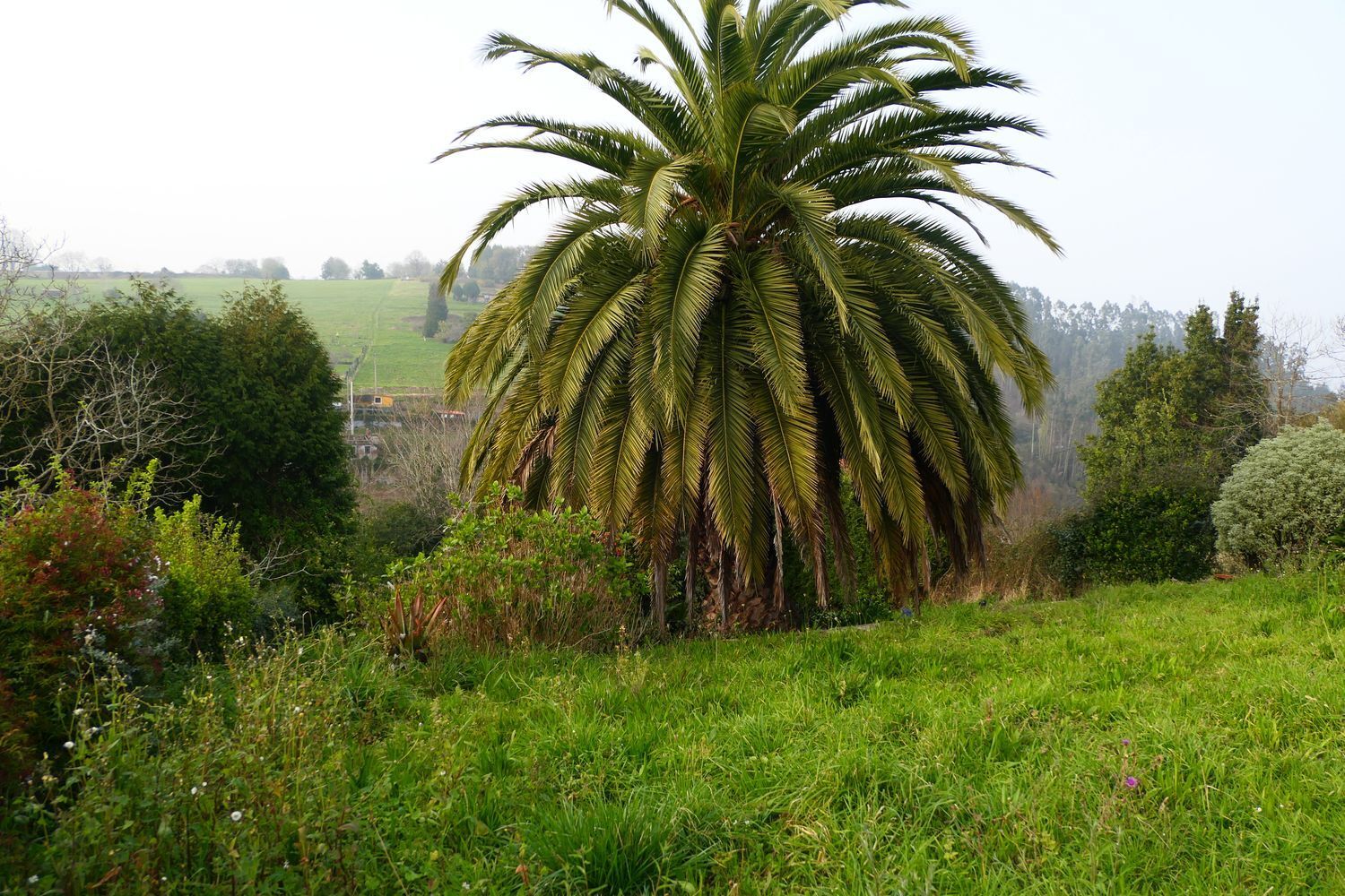 Casas o chalets-Venta-Muros de NalÃ³n-2207358-Foto-20