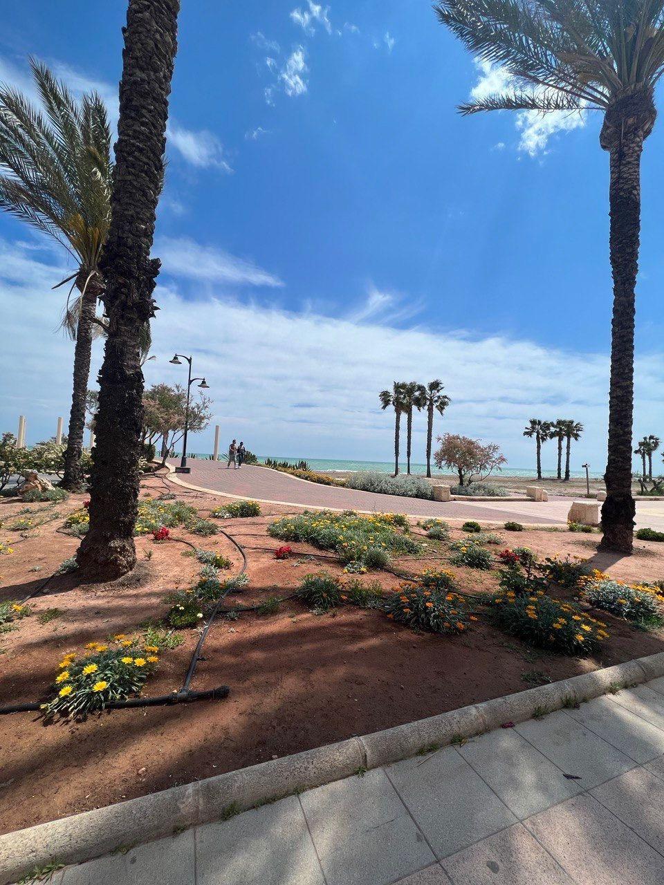 Pisos-Venta-Chilches-2207367-Foto-27