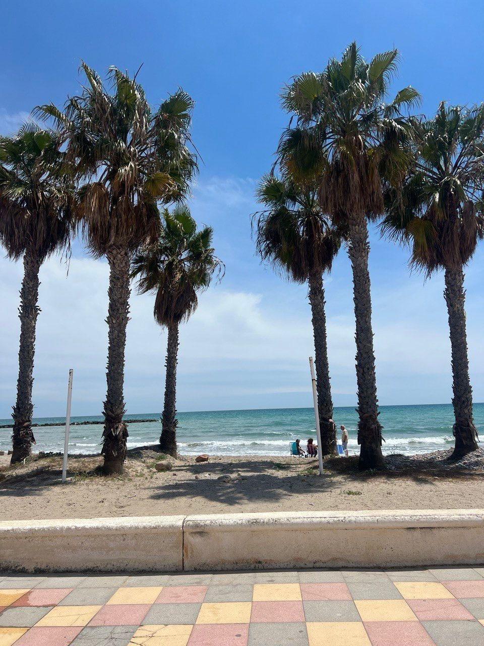 Pisos-Venta-Chilches-2207367-Foto-28