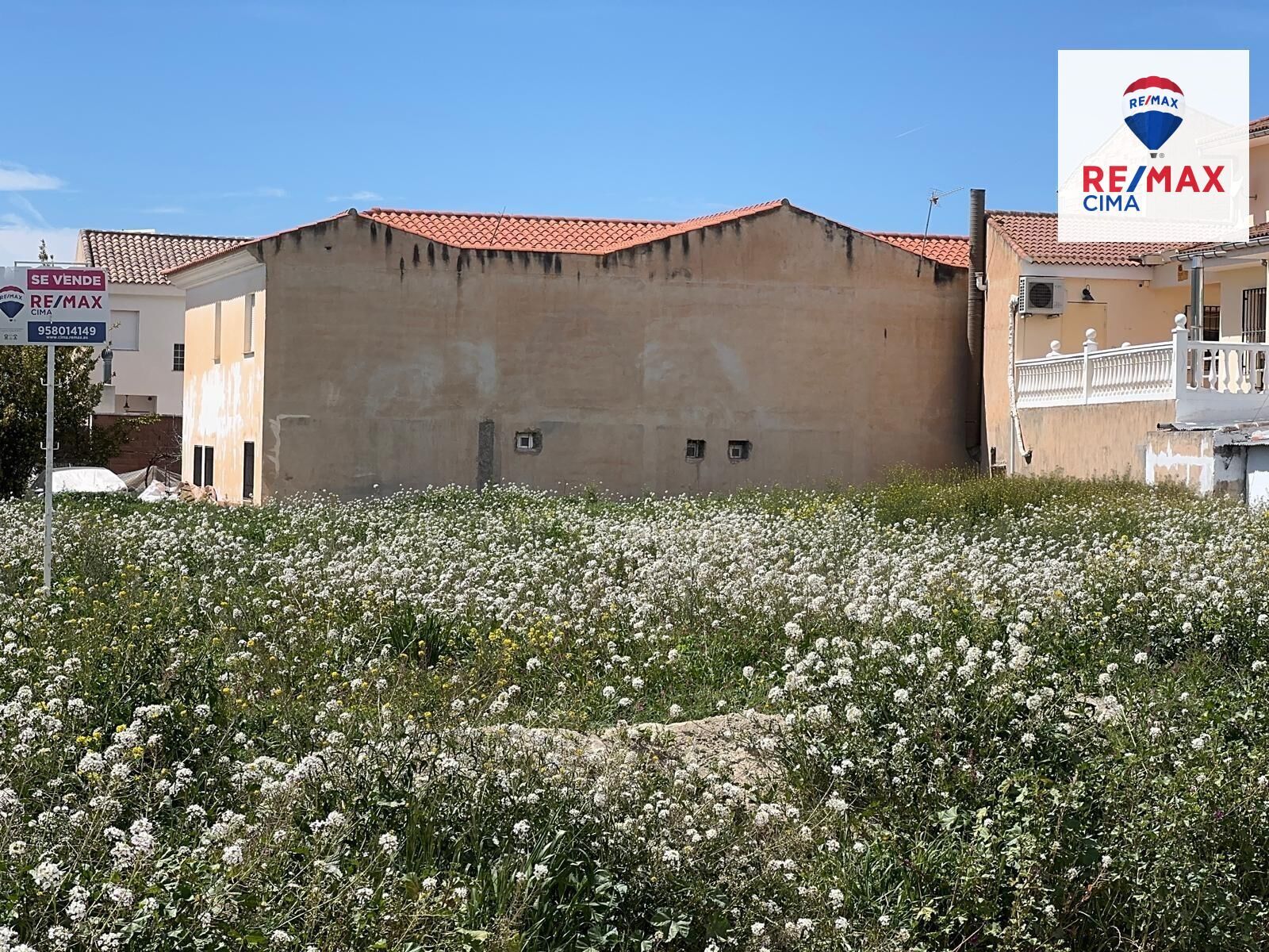 Fincas y solares-Venta-ZÃºjar-2207370-Foto-23