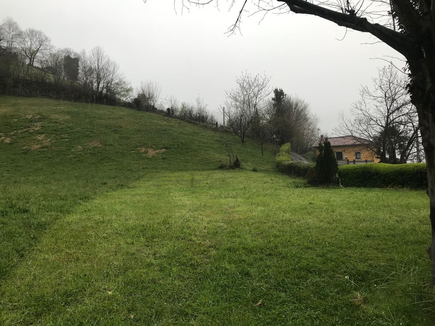 Fincas y solares-Venta-Mieres-447828-Foto-7