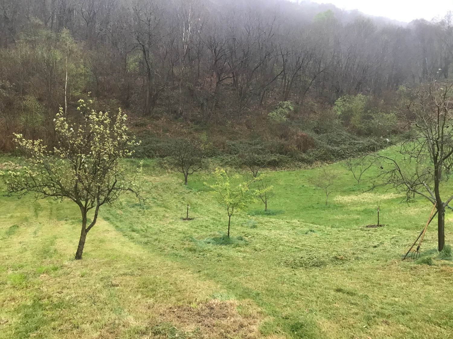 Fincas y solares-Venta-Mieres-447828-Foto-14