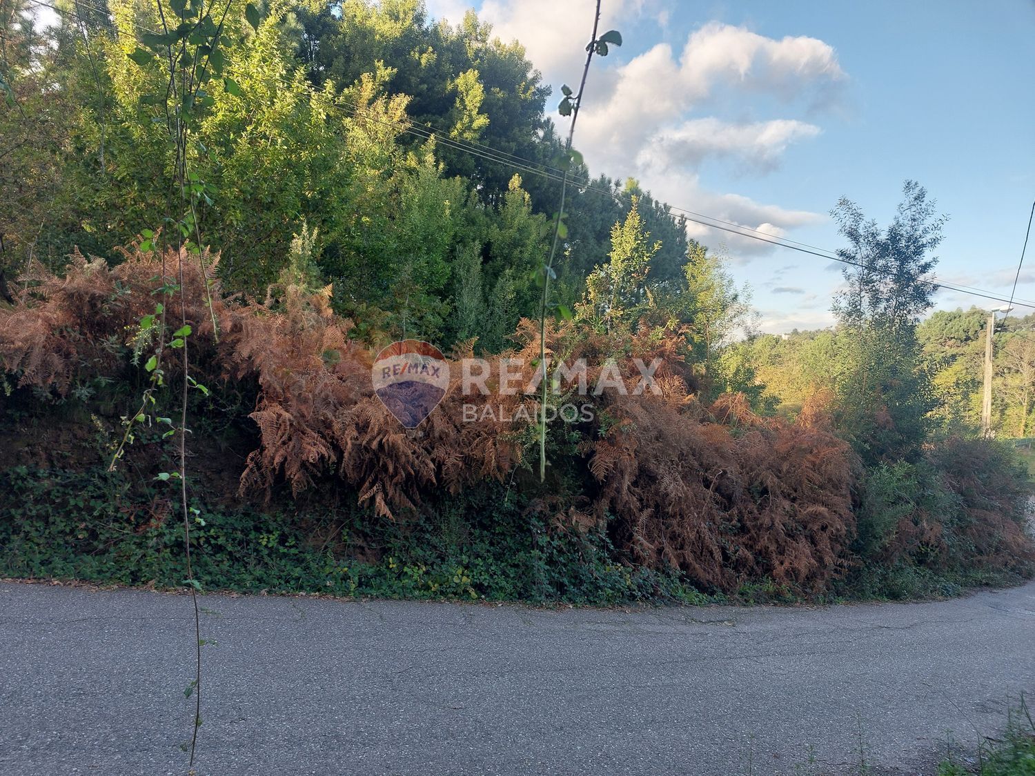 Fincas y solares-Venta-Vigo-2092376-Foto-6