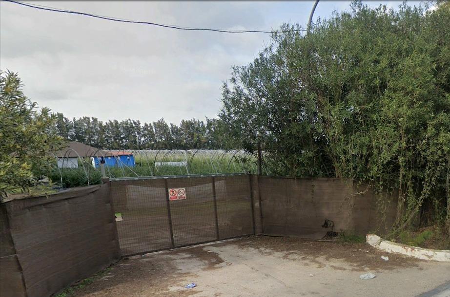 Fincas y solares-Venta-El rocio-1832526-Foto-9