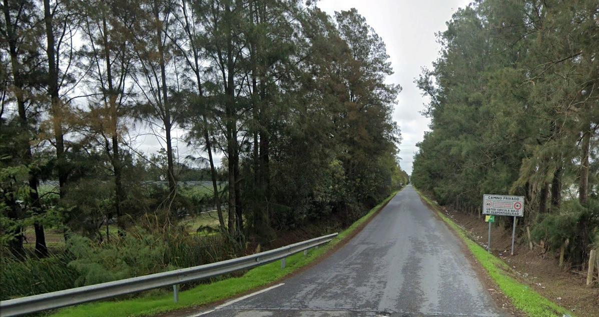 Fincas y solares-Venta-El rocio-1832526-Foto-10