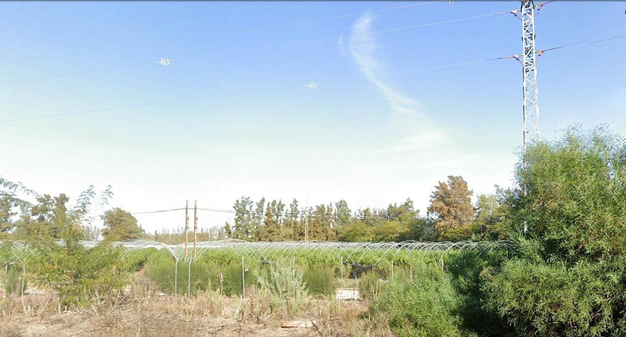 Fincas y solares-Venta-El rocio-1832526-Foto-13