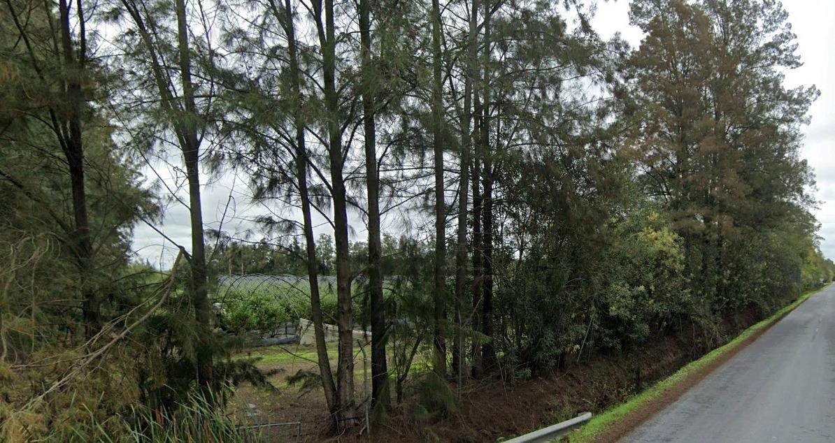 Fincas y solares-Venta-El rocio-1832526-Foto-11