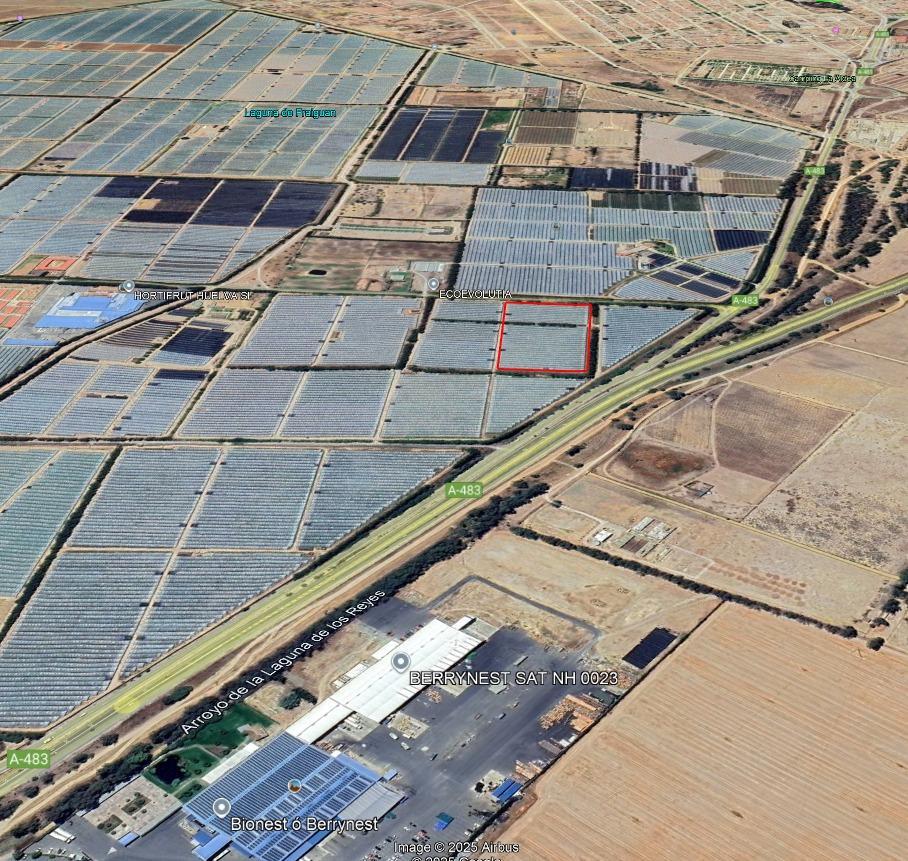 Fincas y solares-Venta-El rocio-1832526-Foto-16