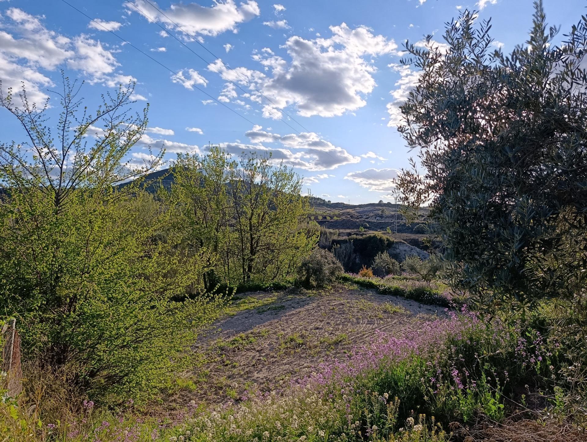 Suelo en venta, Chaparral