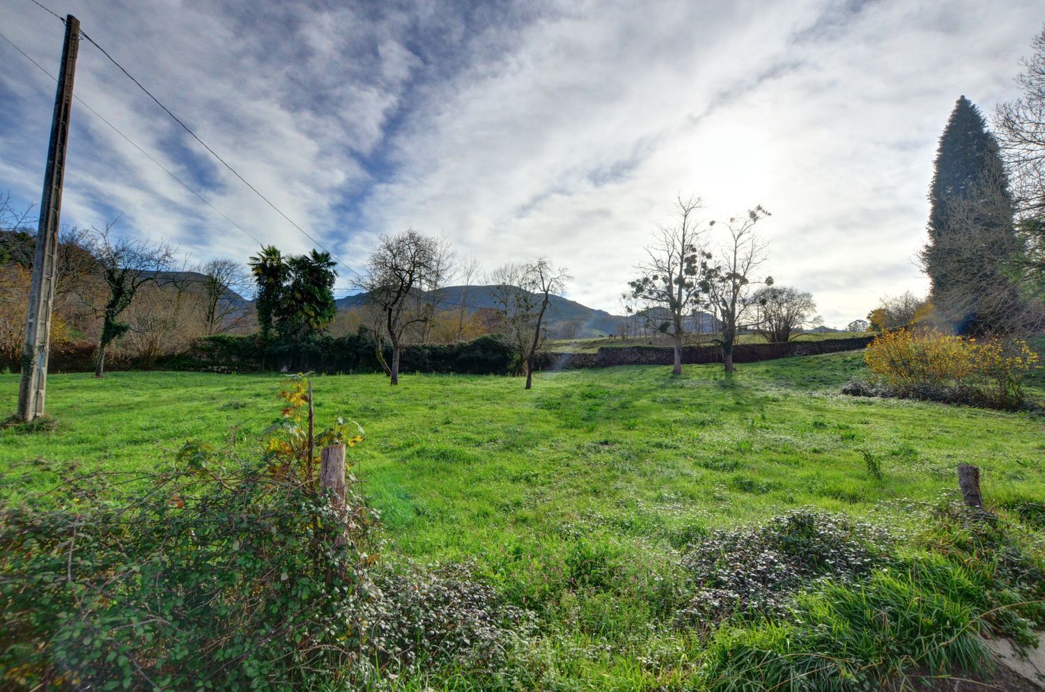 Casas o chalets-Venta-PiloÃ±a-2032742-Foto-30