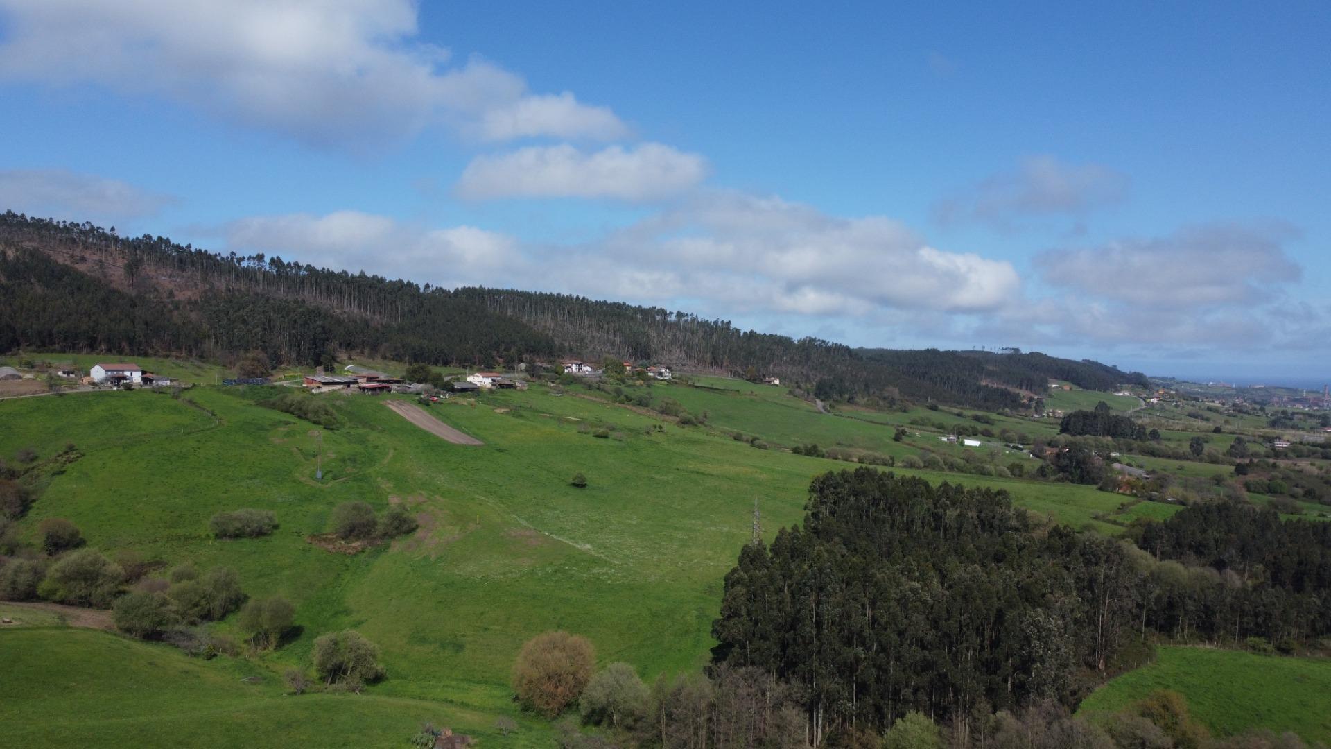 Fincas y solares-Venta-GijÃ³n-2207731-Foto-5