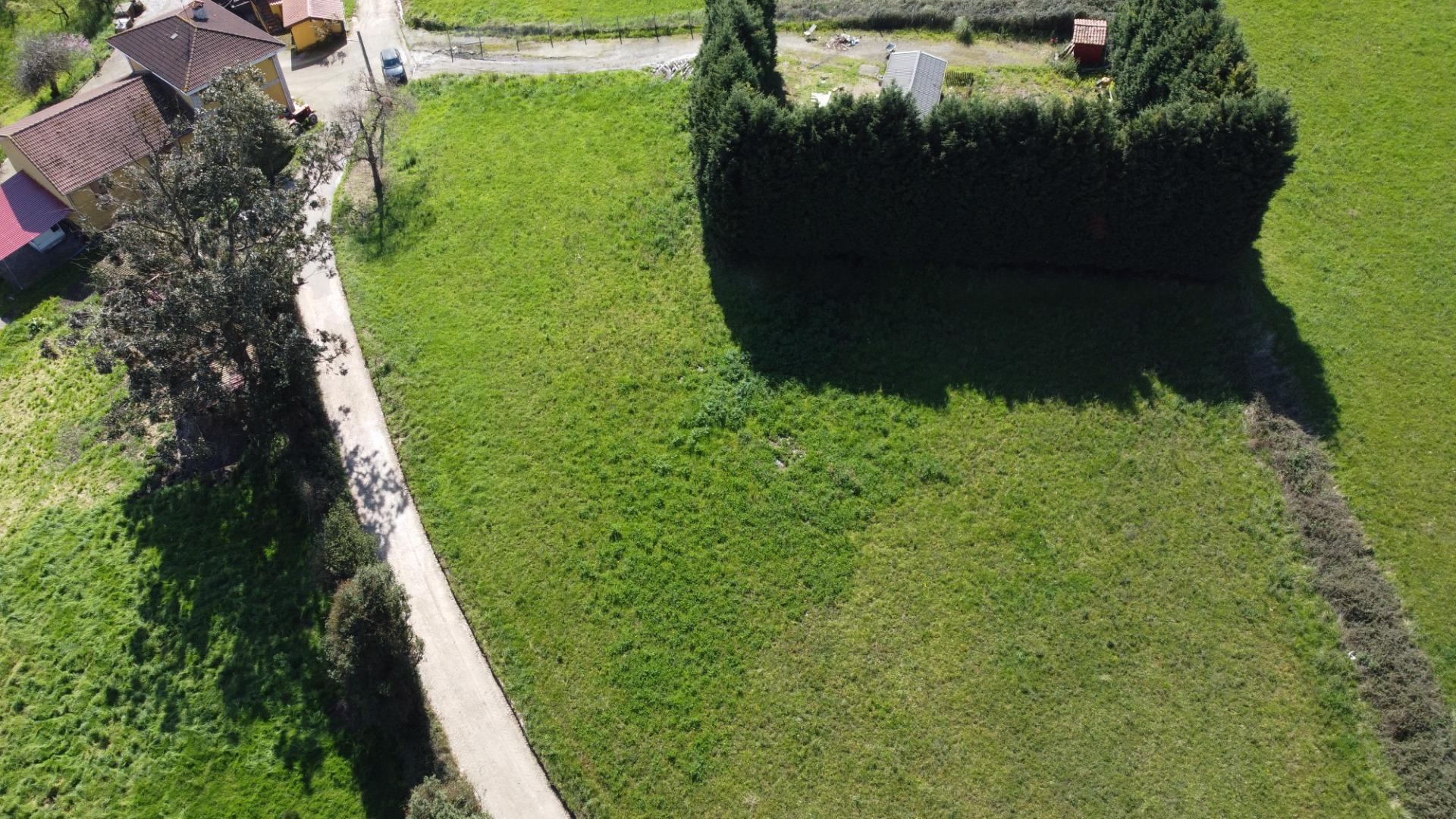 Fincas y solares-Venta-GijÃ³n-2207731-Foto-8