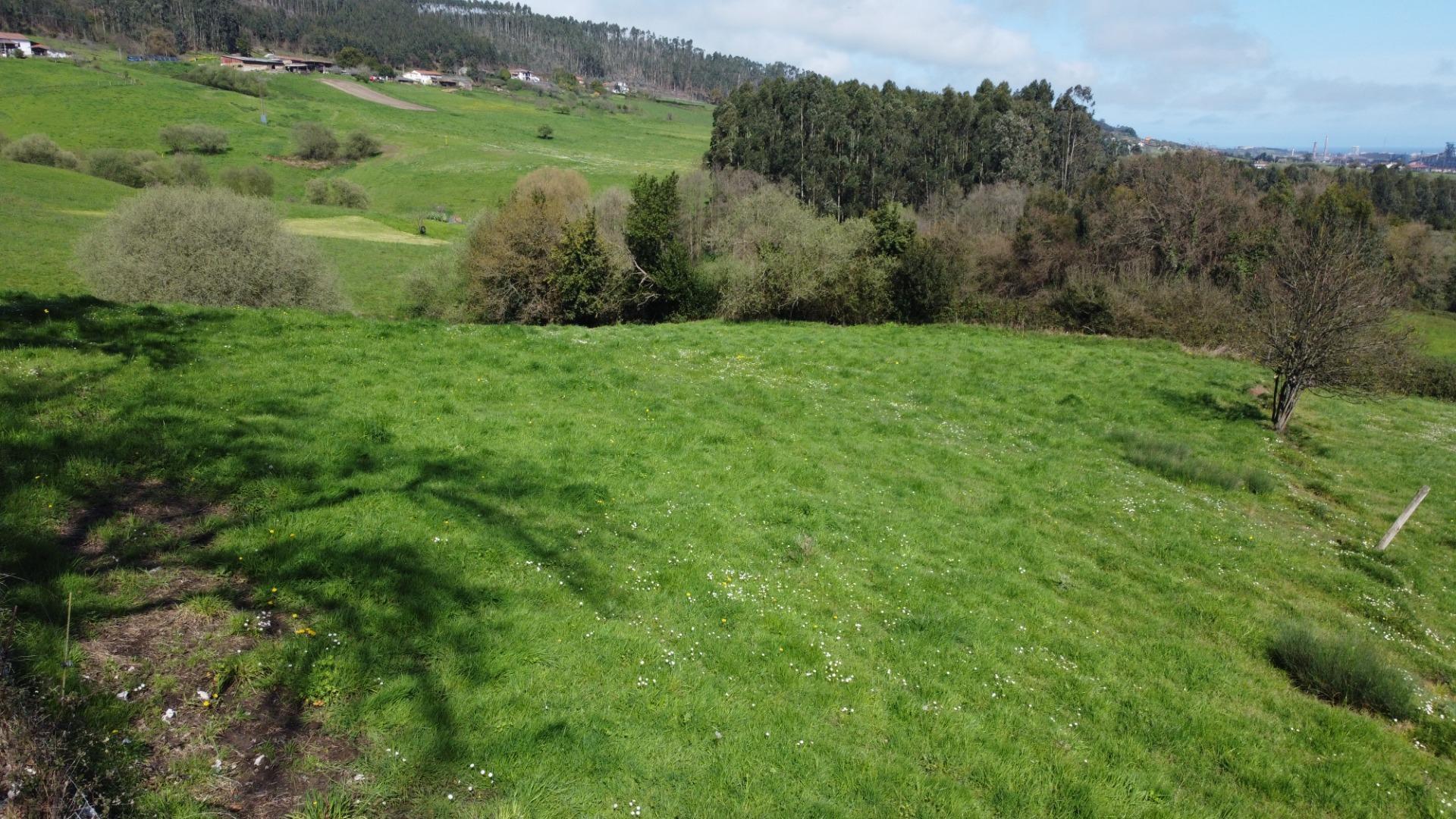 Fincas y solares-Venta-GijÃ³n-2207731-Foto-9