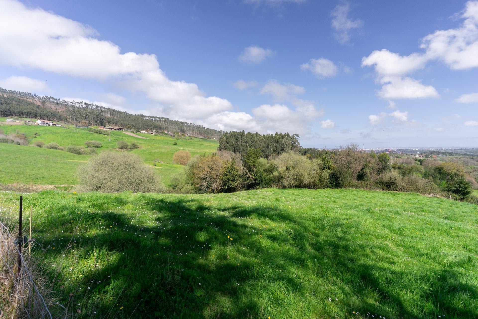 Fincas y solares-Venta-GijÃ³n-2207731-Foto-10