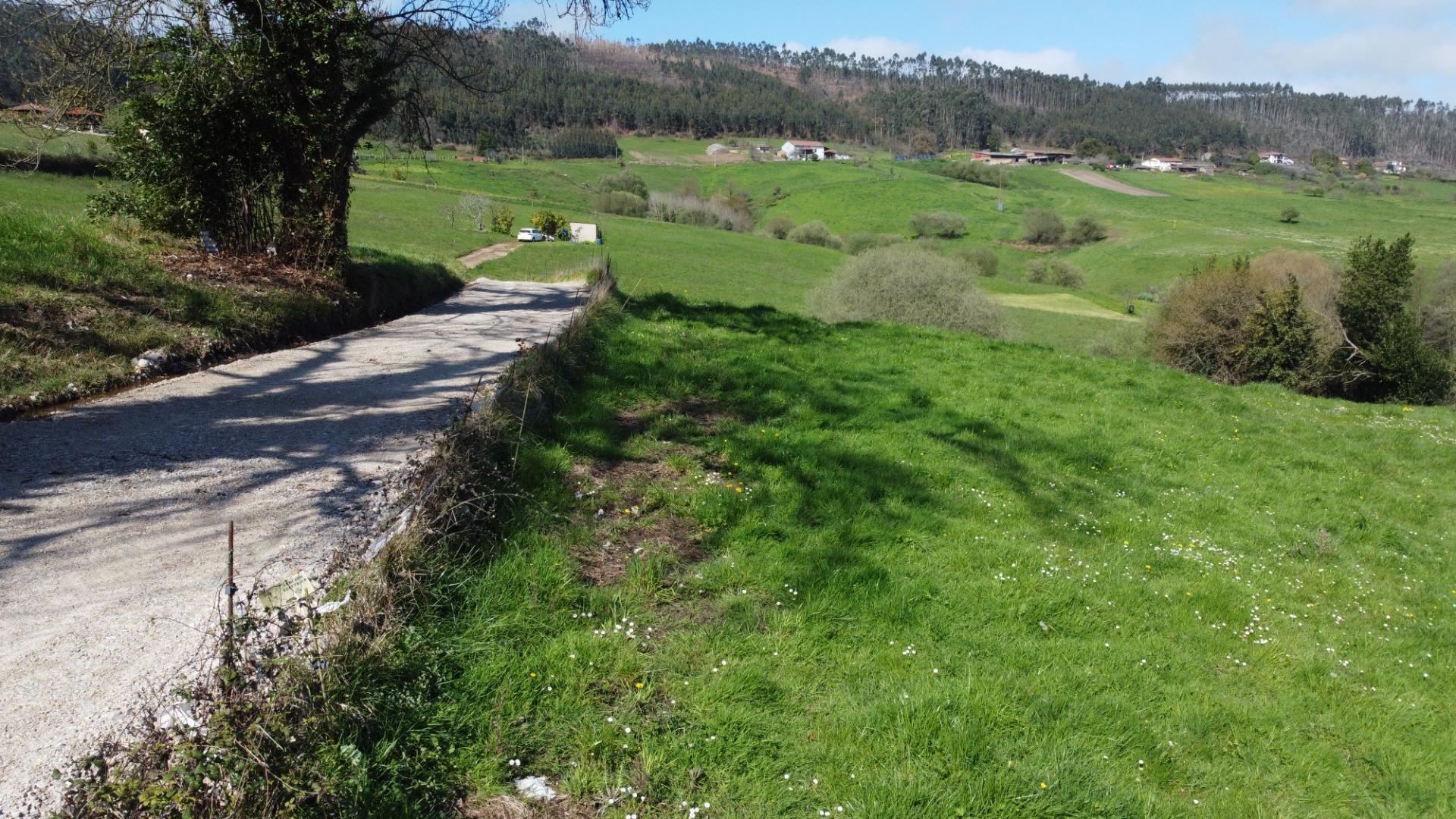 Fincas y solares-Venta-GijÃ³n-2207731-Foto-11