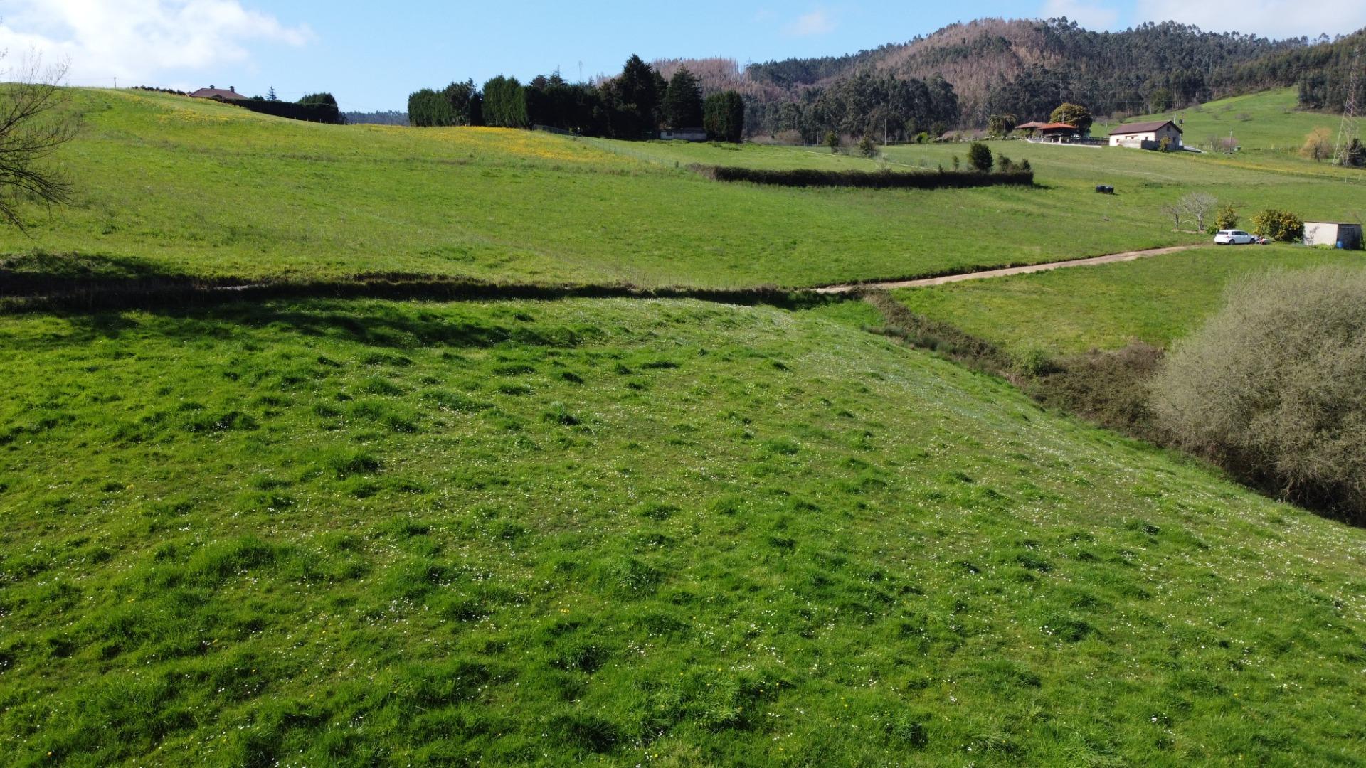 Fincas y solares-Venta-GijÃ³n-2207731-Foto-13