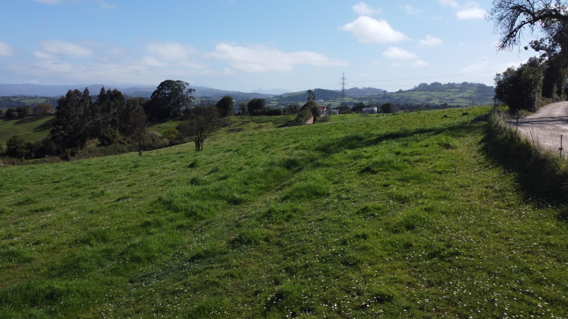 Fincas y solares-Venta-GijÃ³n-2207731-Foto-14