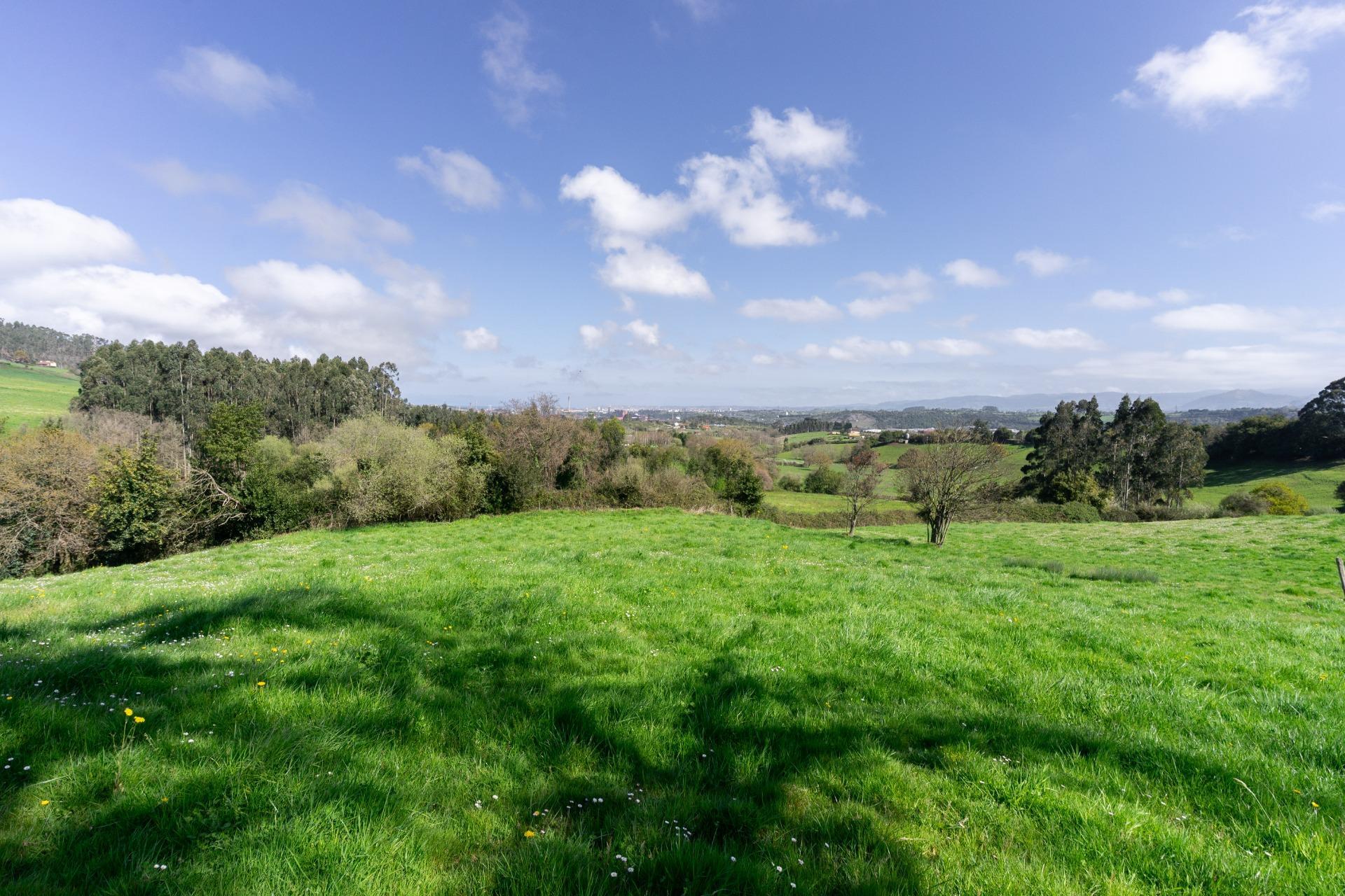 Fincas y solares-Venta-GijÃ³n-2207731-Foto-17