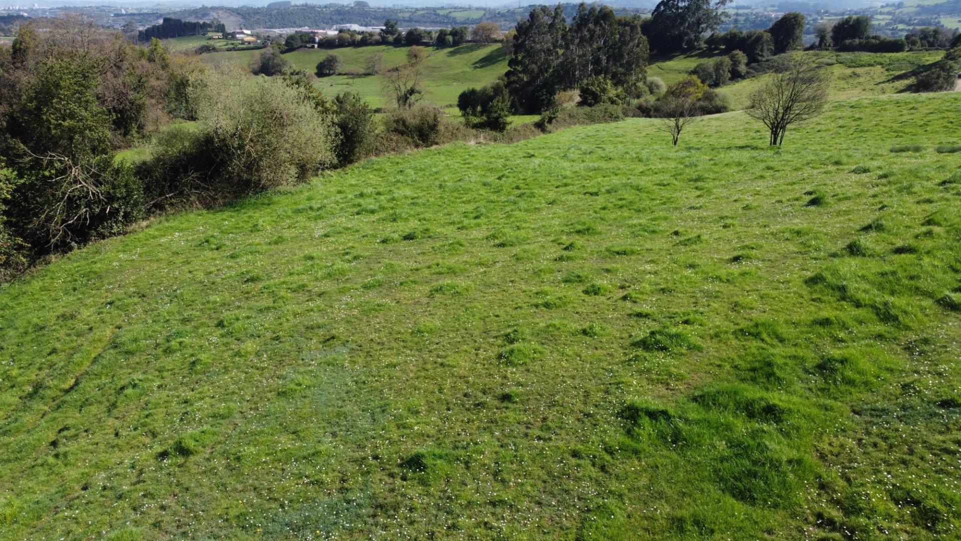 Fincas y solares-Venta-GijÃ³n-2207731-Foto-15