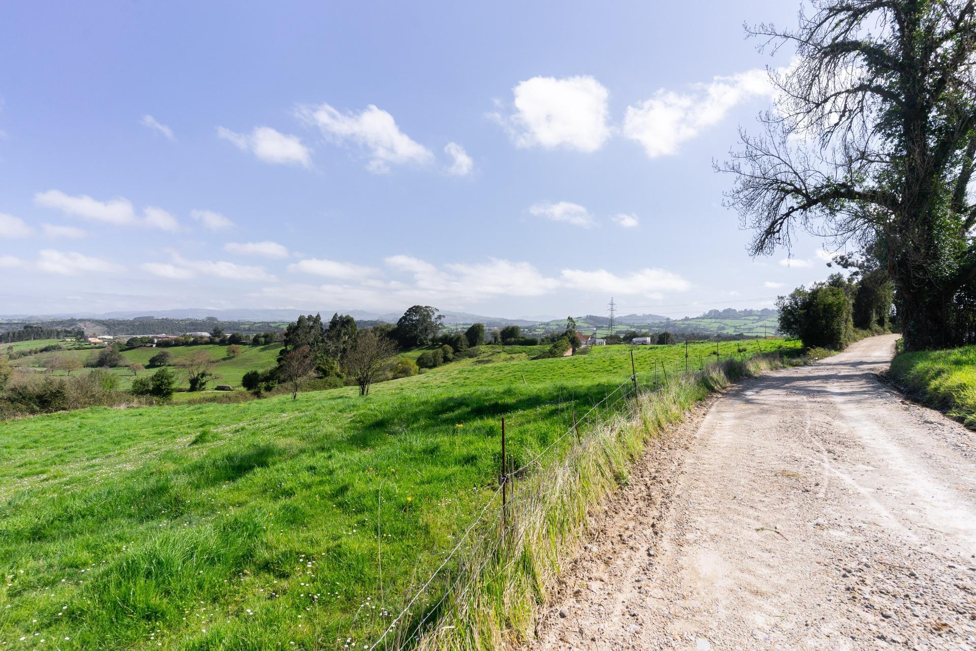 Fincas y solares-Venta-GijÃ³n-2207731-Foto-19