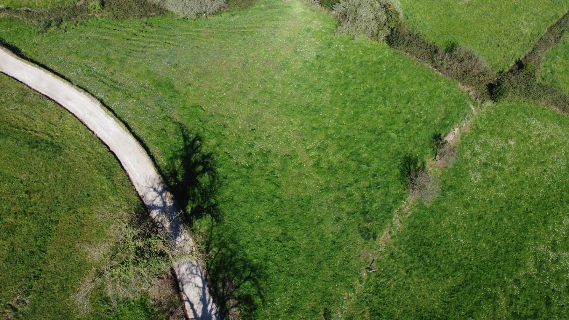 Fincas y solares-Venta-GijÃ³n-2207731-Foto-18