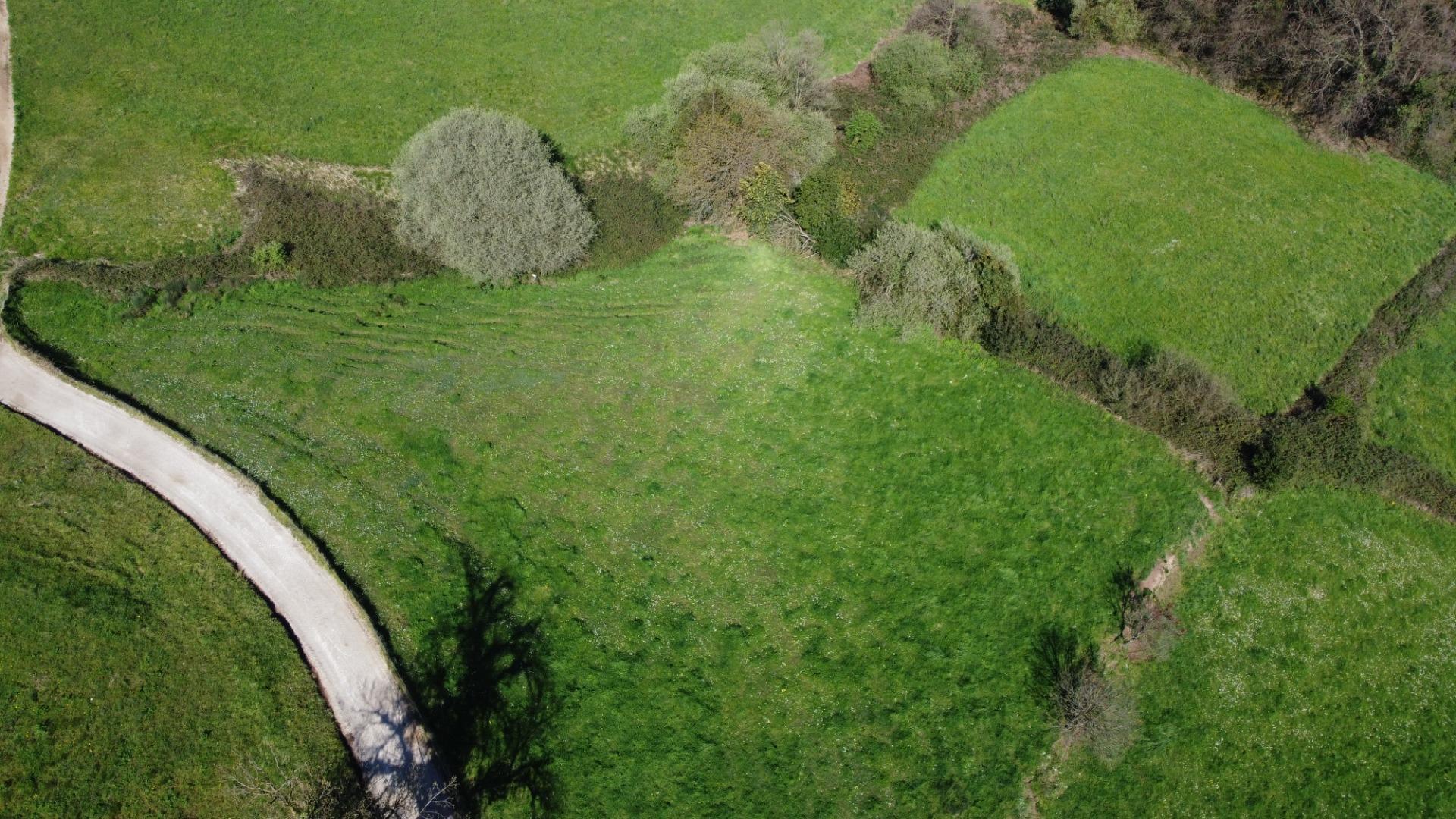 Fincas y solares-Venta-GijÃ³n-2207731-Foto-20