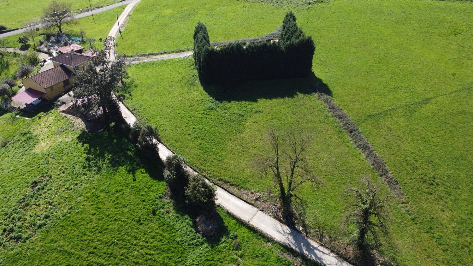 Fincas y solares-Venta-GijÃ³n-2207731-Foto-29