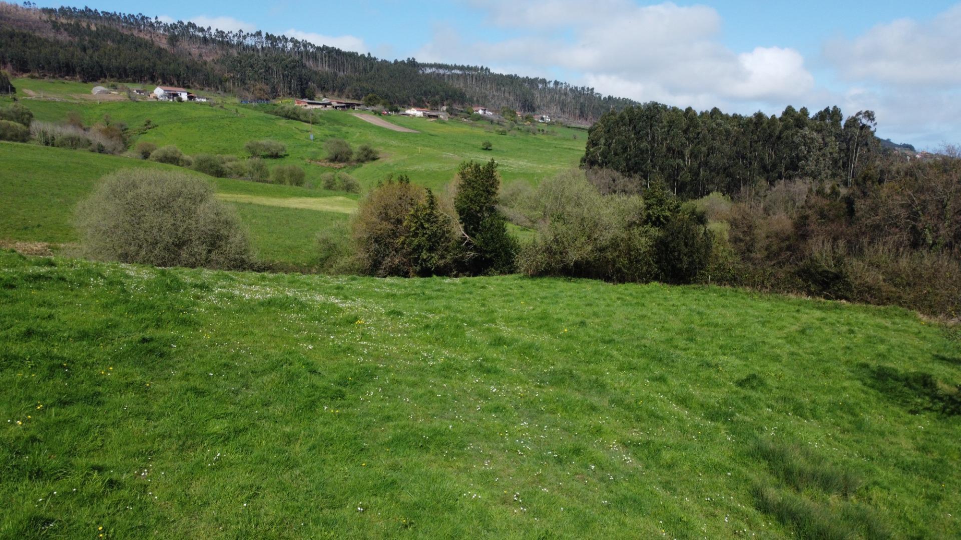 Fincas y solares-Venta-GijÃ³n-2207731-Foto-28