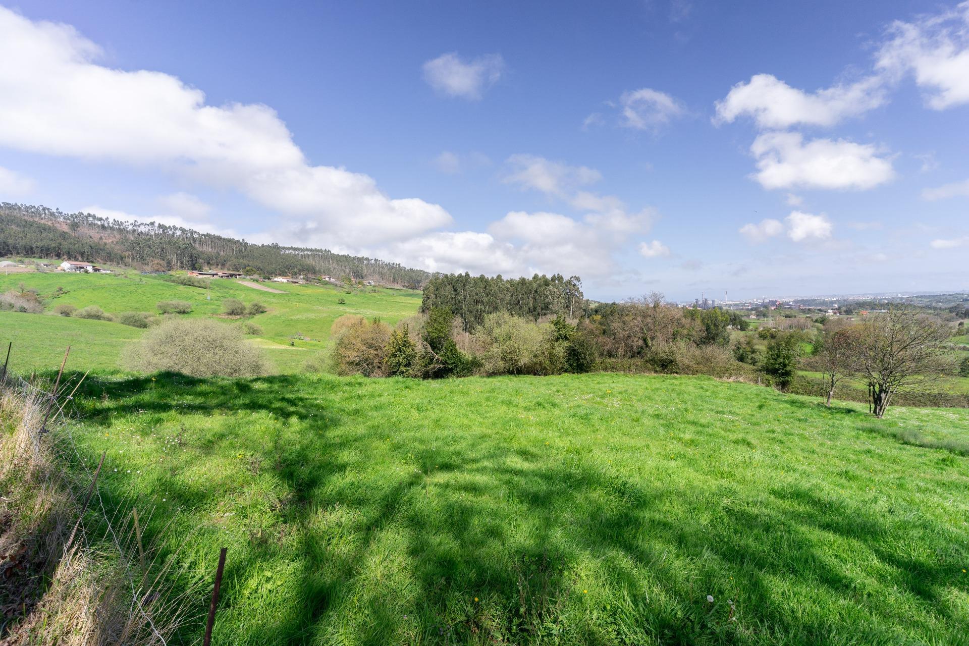 Fincas y solares-Venta-GijÃ³n-2207731-Foto-31