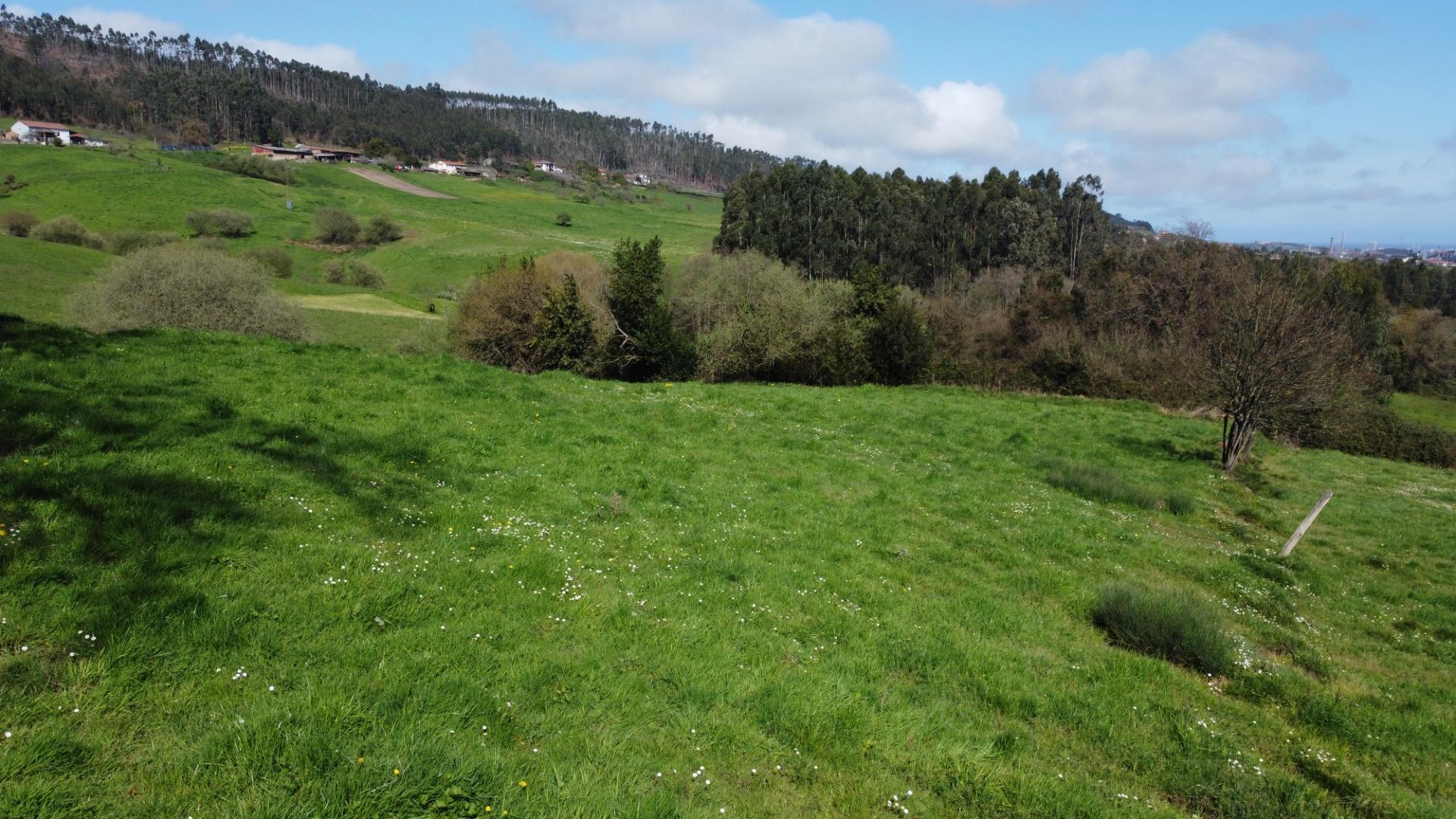 Fincas y solares-Venta-GijÃ³n-2207731-Foto-36