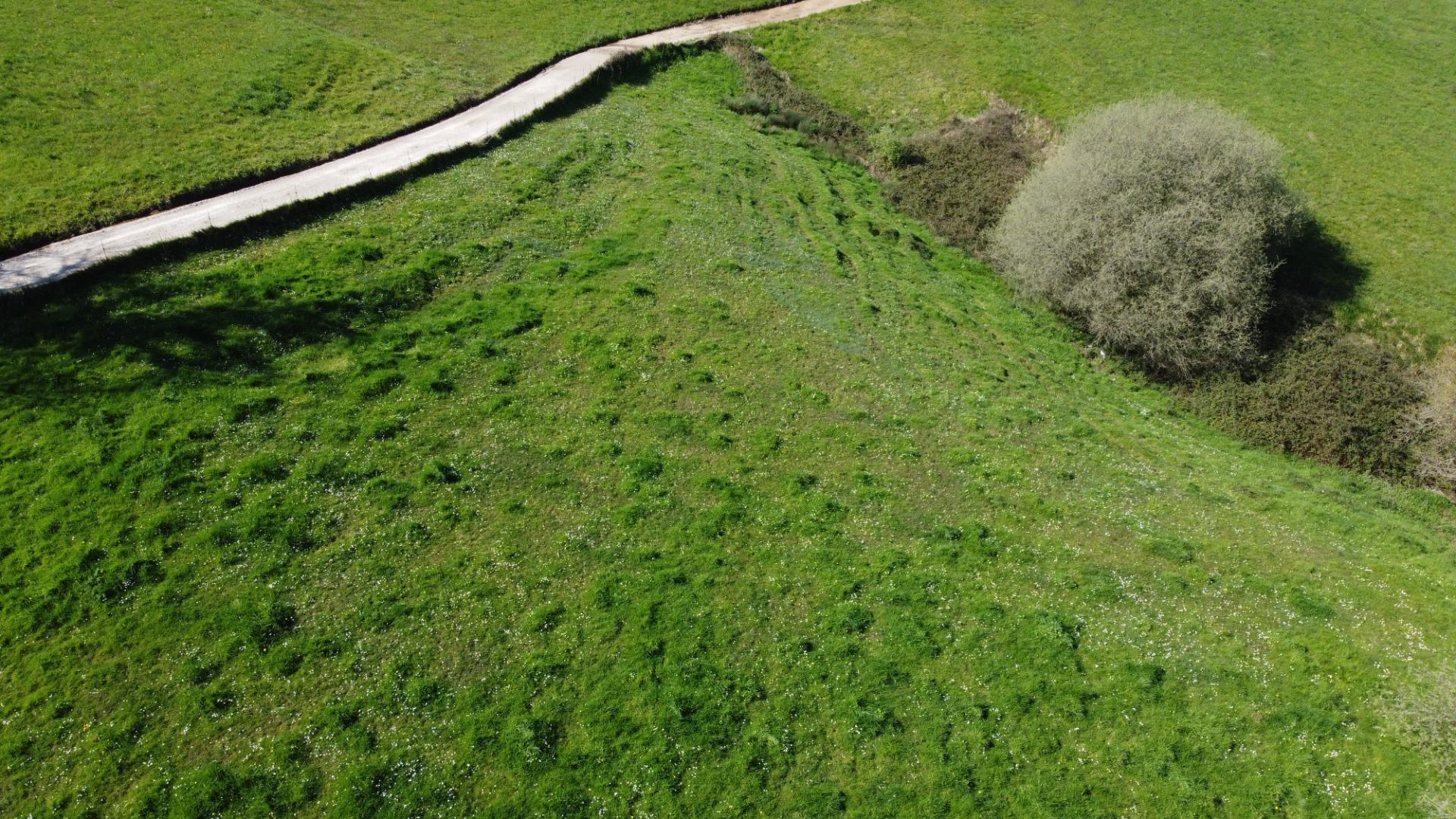 Fincas y solares-Venta-GijÃ³n-2207731-Foto-37