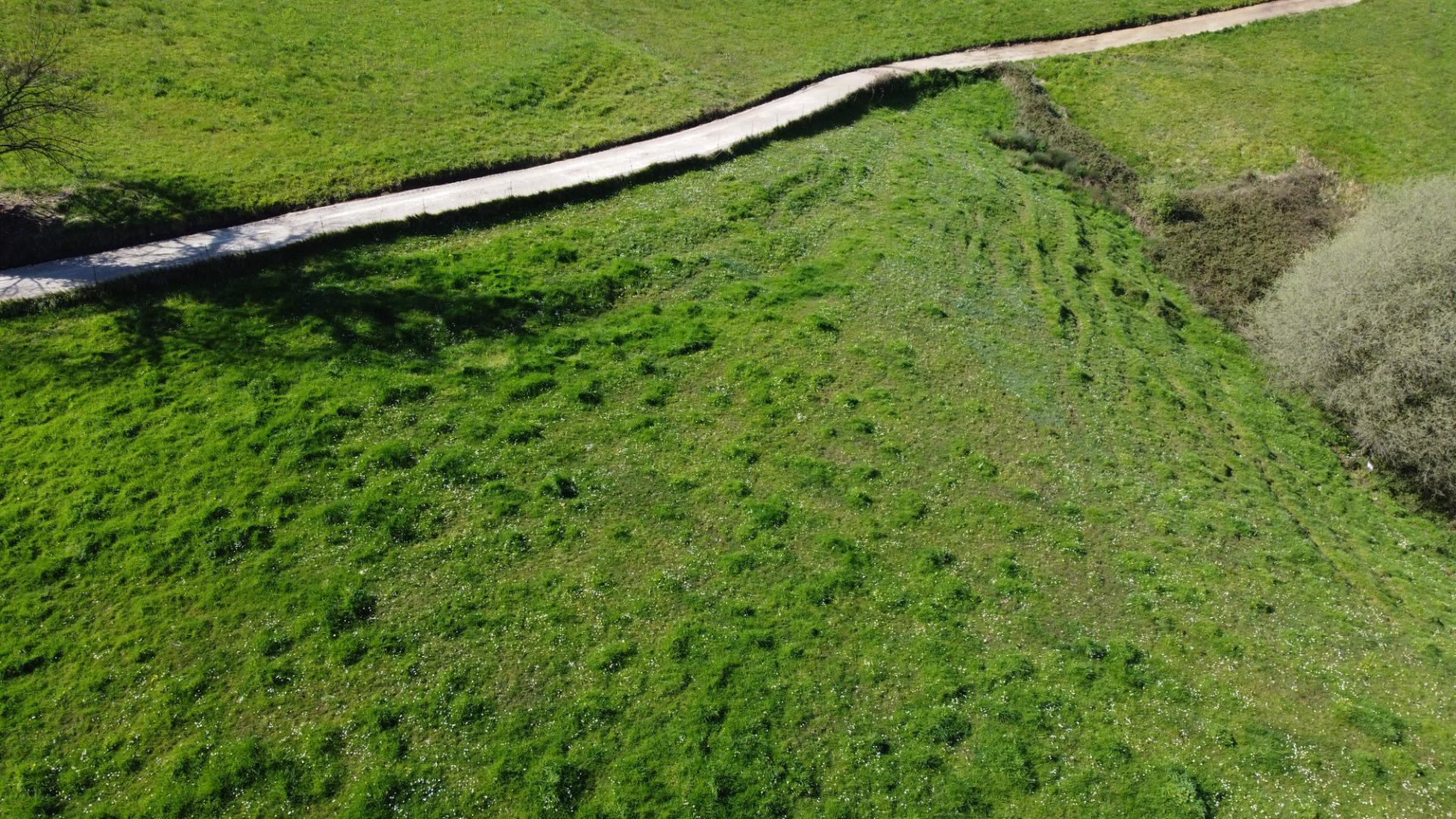 Fincas y solares-Venta-GijÃ³n-2207731-Foto-38