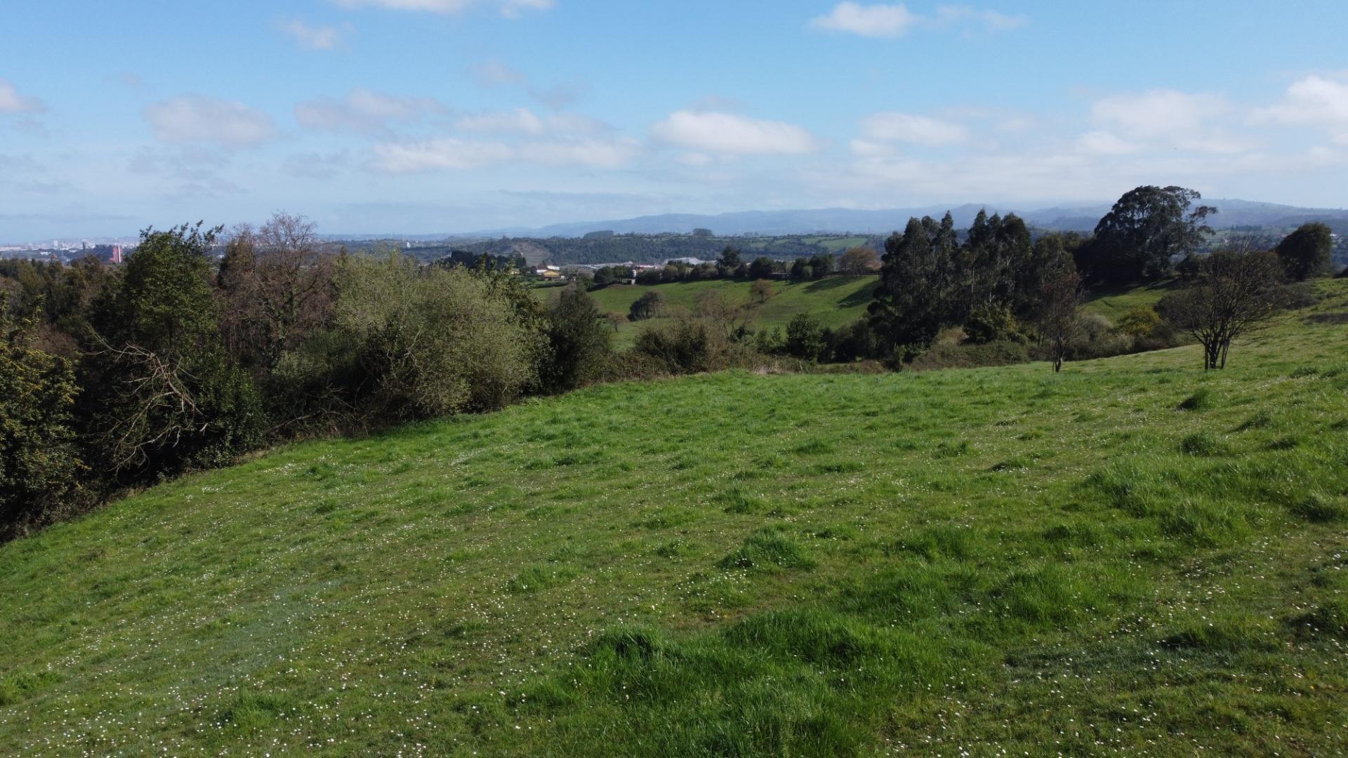 Fincas y solares-Venta-GijÃ³n-2207731-Foto-40