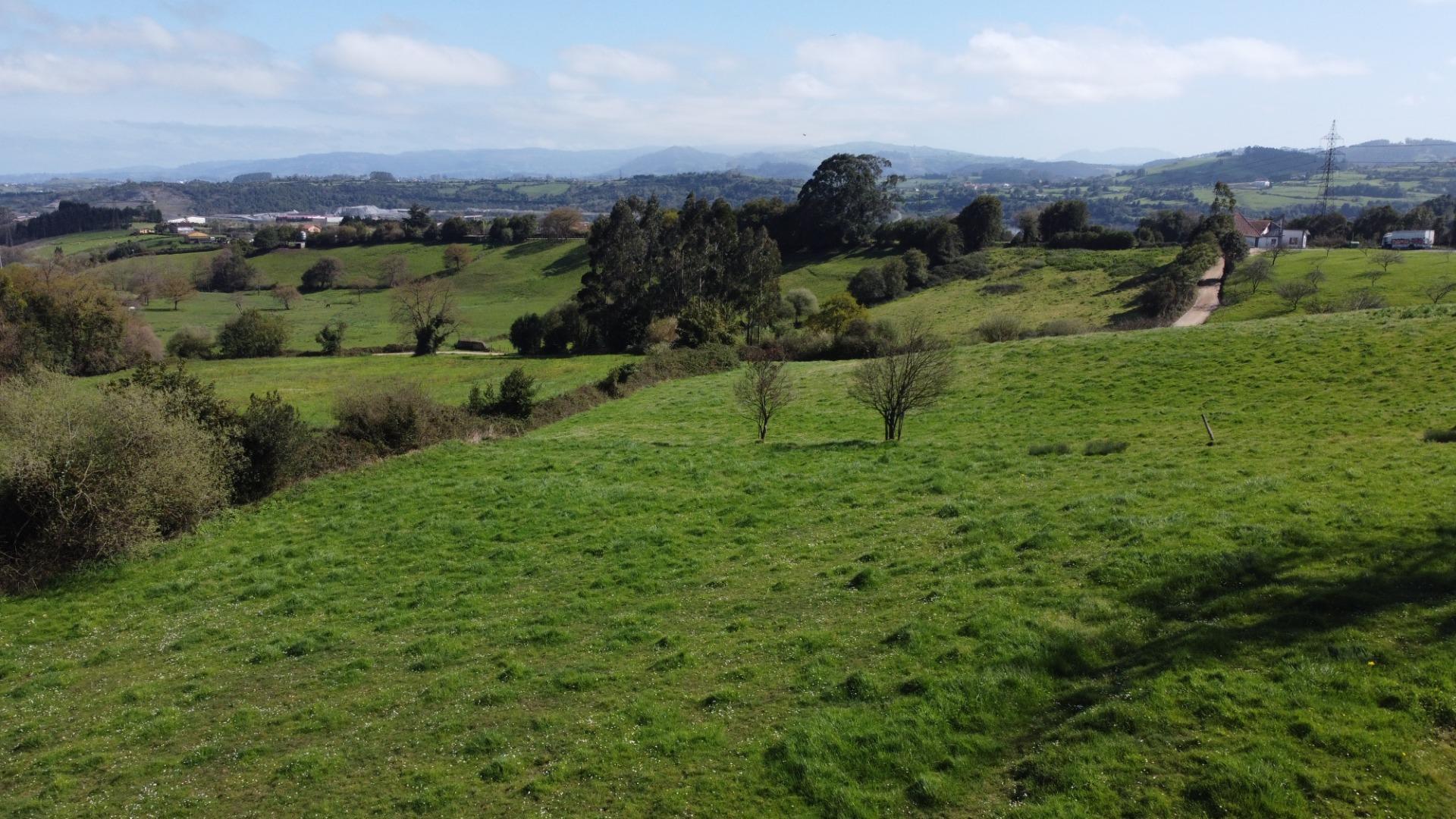 Fincas y solares-Venta-GijÃ³n-2207731-Foto-41