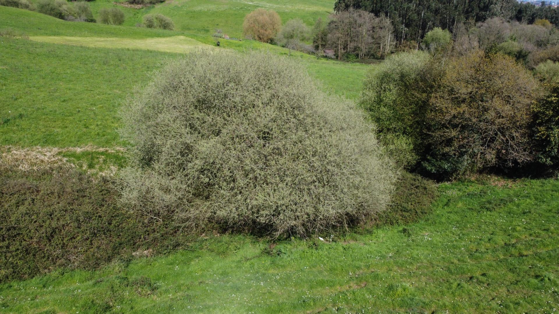 Fincas y solares-Venta-GijÃ³n-2207731-Foto-43