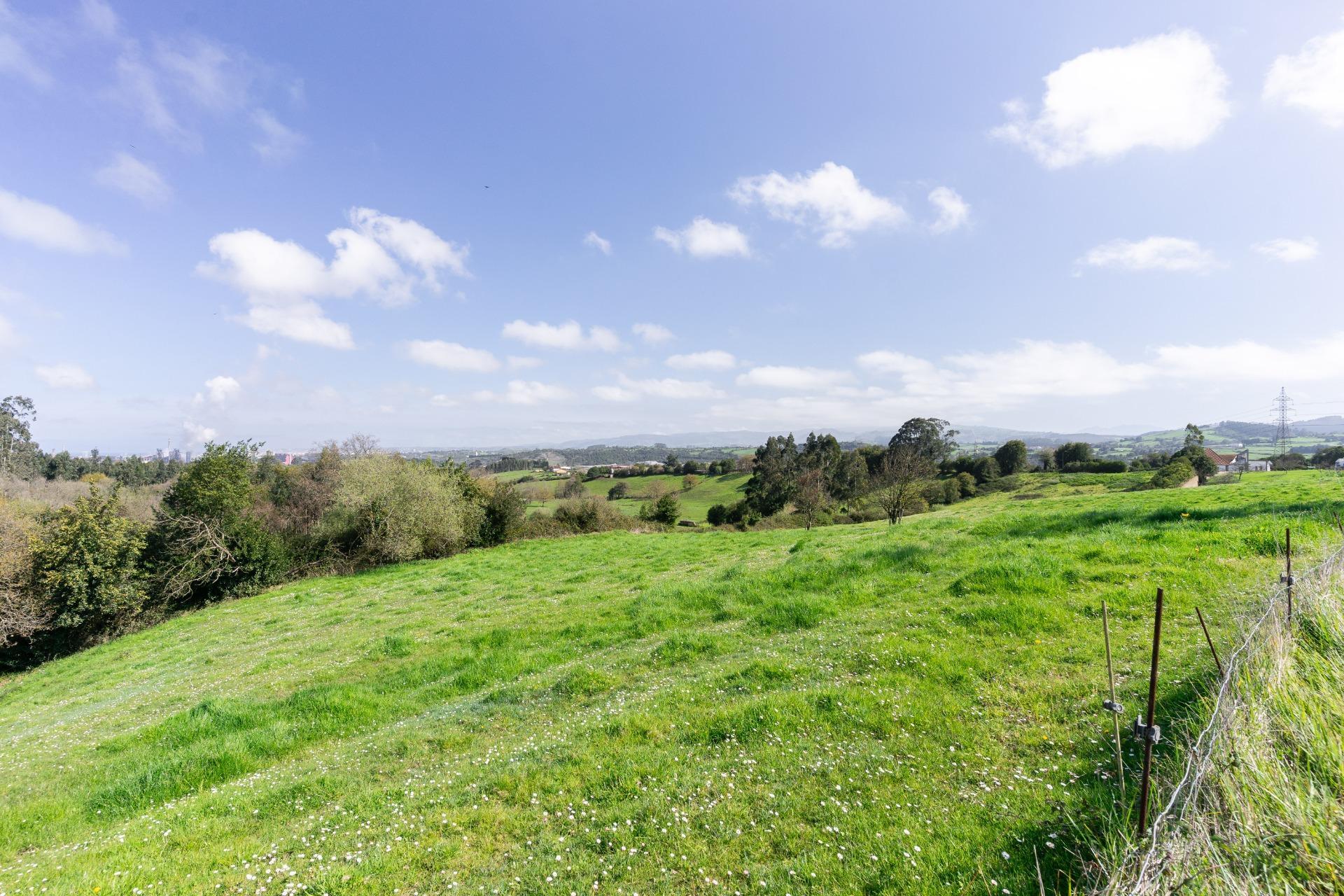 Fincas y solares-Venta-GijÃ³n-2207731-Foto-45