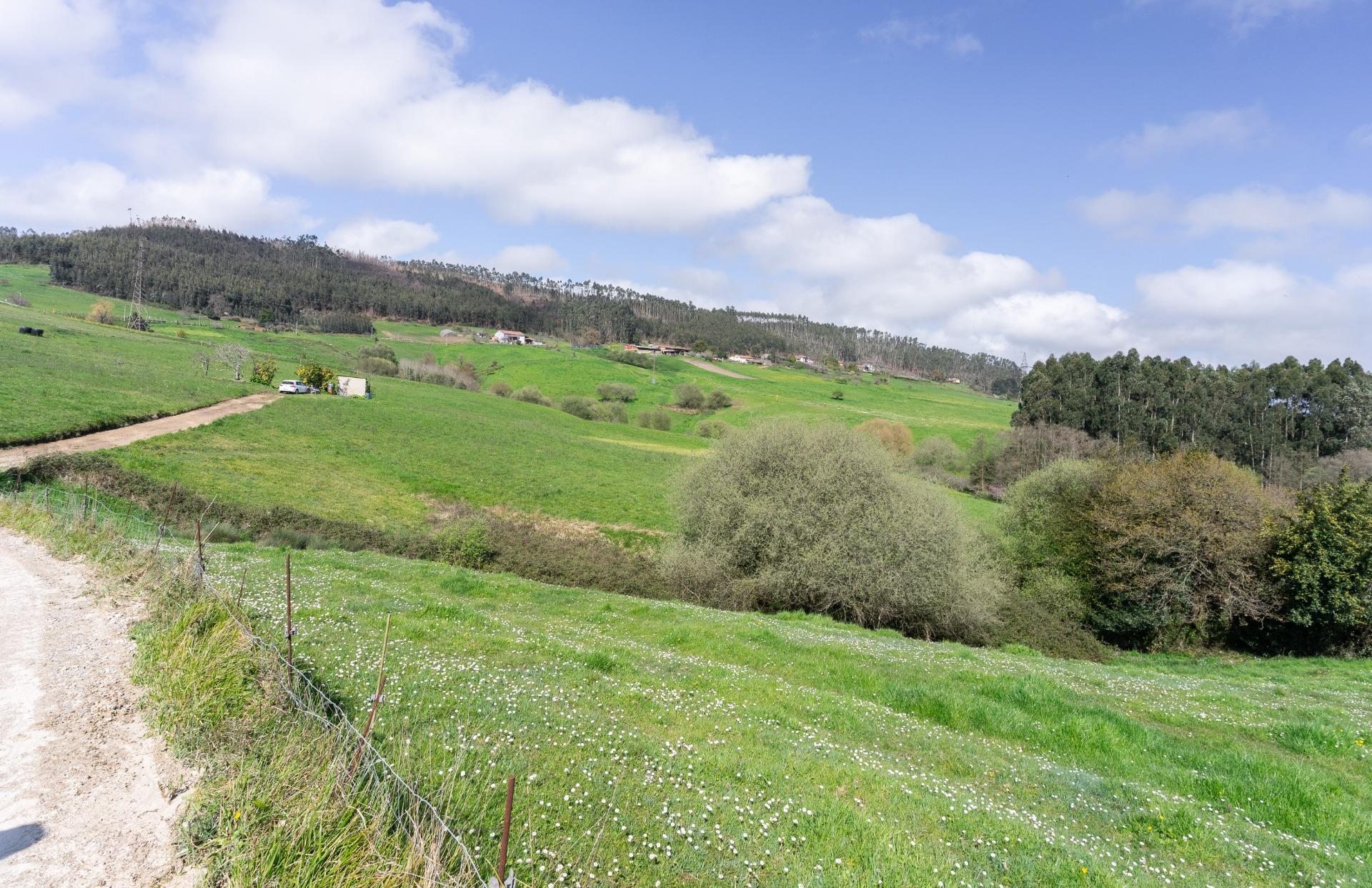 Fincas y solares-Venta-GijÃ³n-2207731-Foto-46