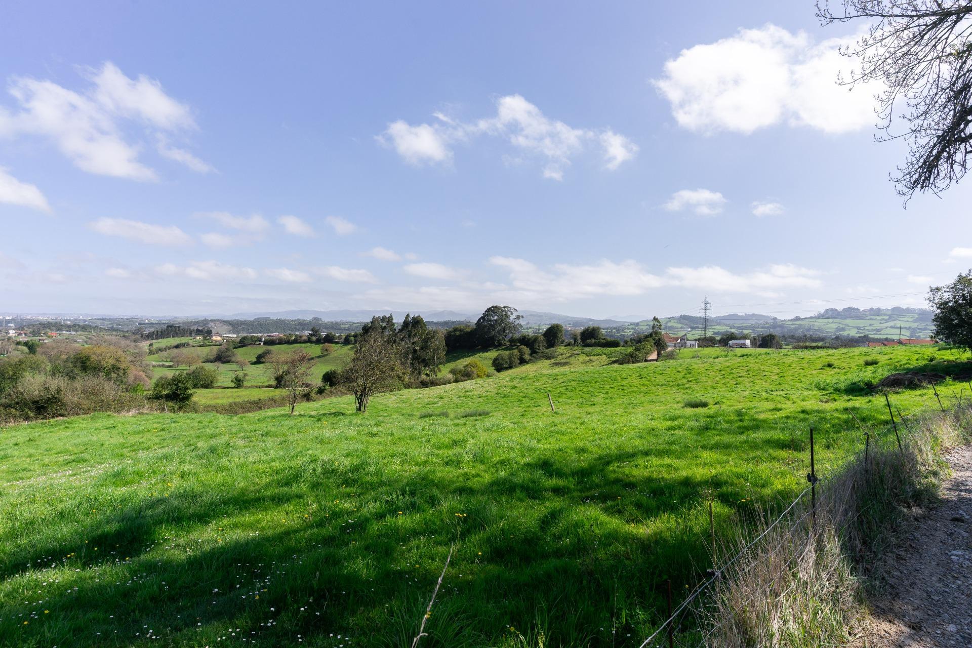 Fincas y solares-Venta-GijÃ³n-2207731-Foto-47