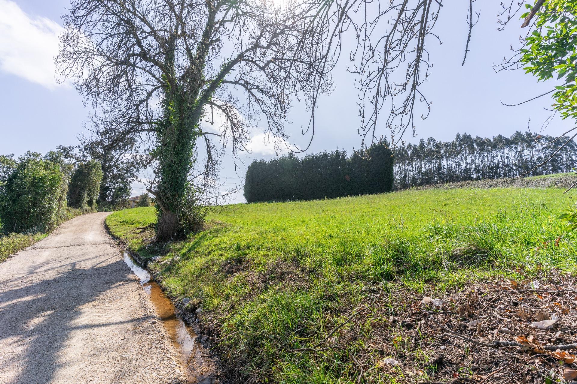 Fincas y solares-Venta-GijÃ³n-2207731-Foto-48