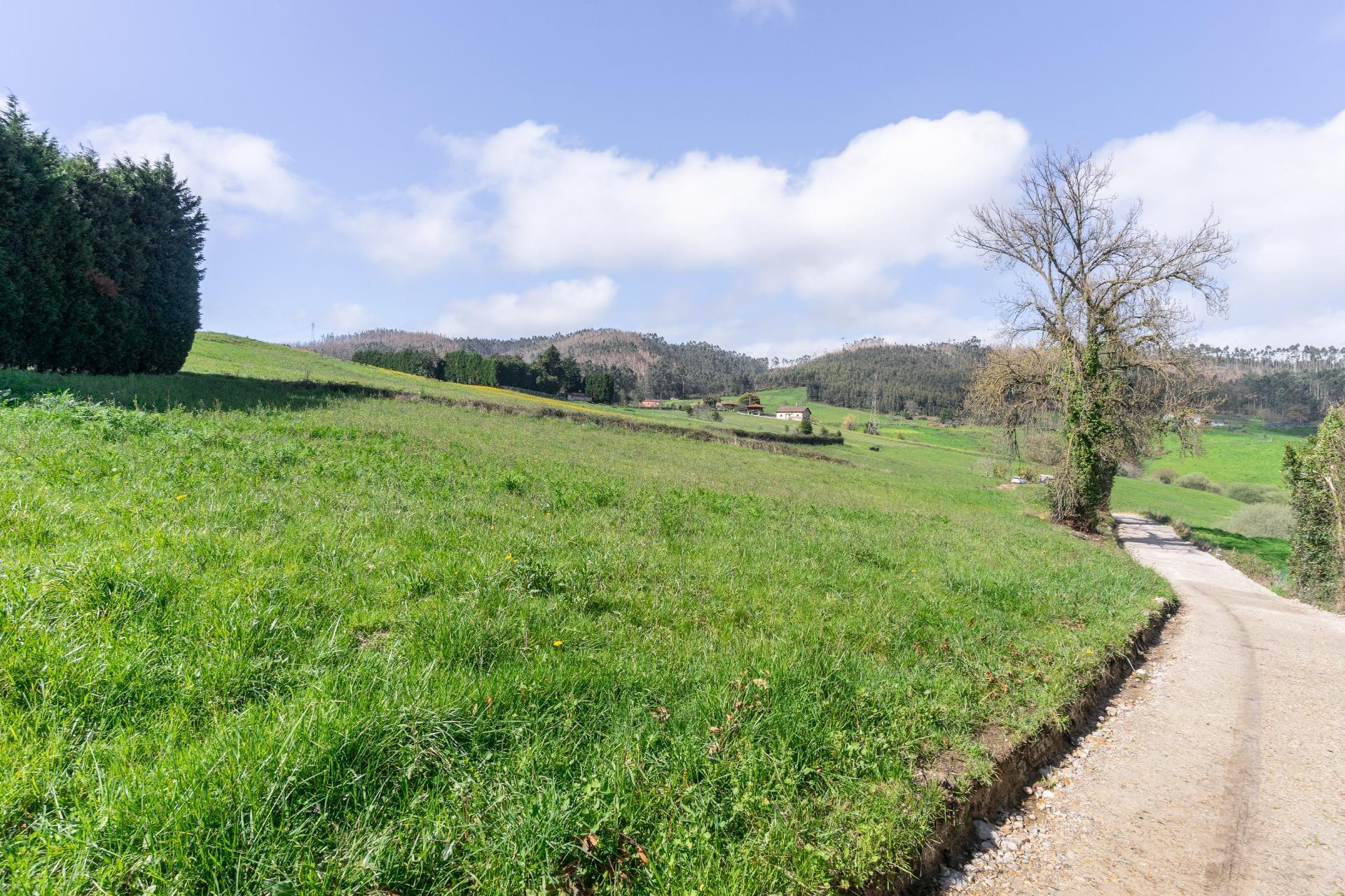 Fincas y solares-Venta-GijÃ³n-2207731-Foto-49