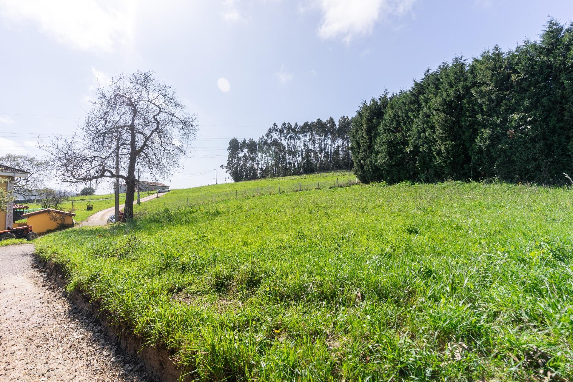 Fincas y solares-Venta-GijÃ³n-2207731-Foto-50