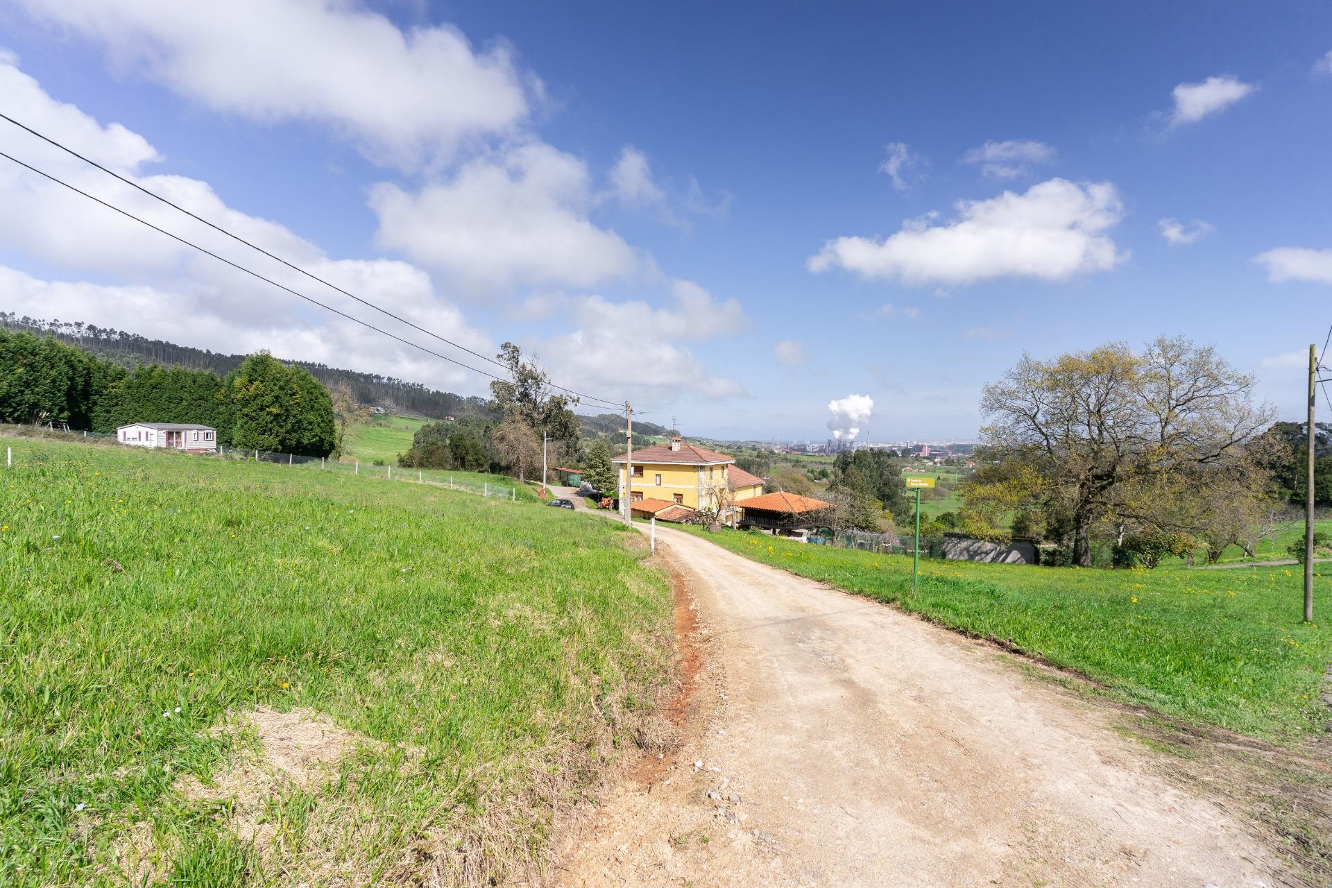 Fincas y solares-Venta-GijÃ³n-2207731-Foto-51