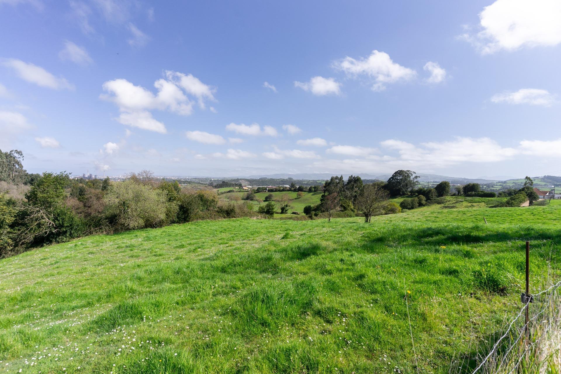 Fincas y solares-Venta-GijÃ³n-2207731-Foto-53