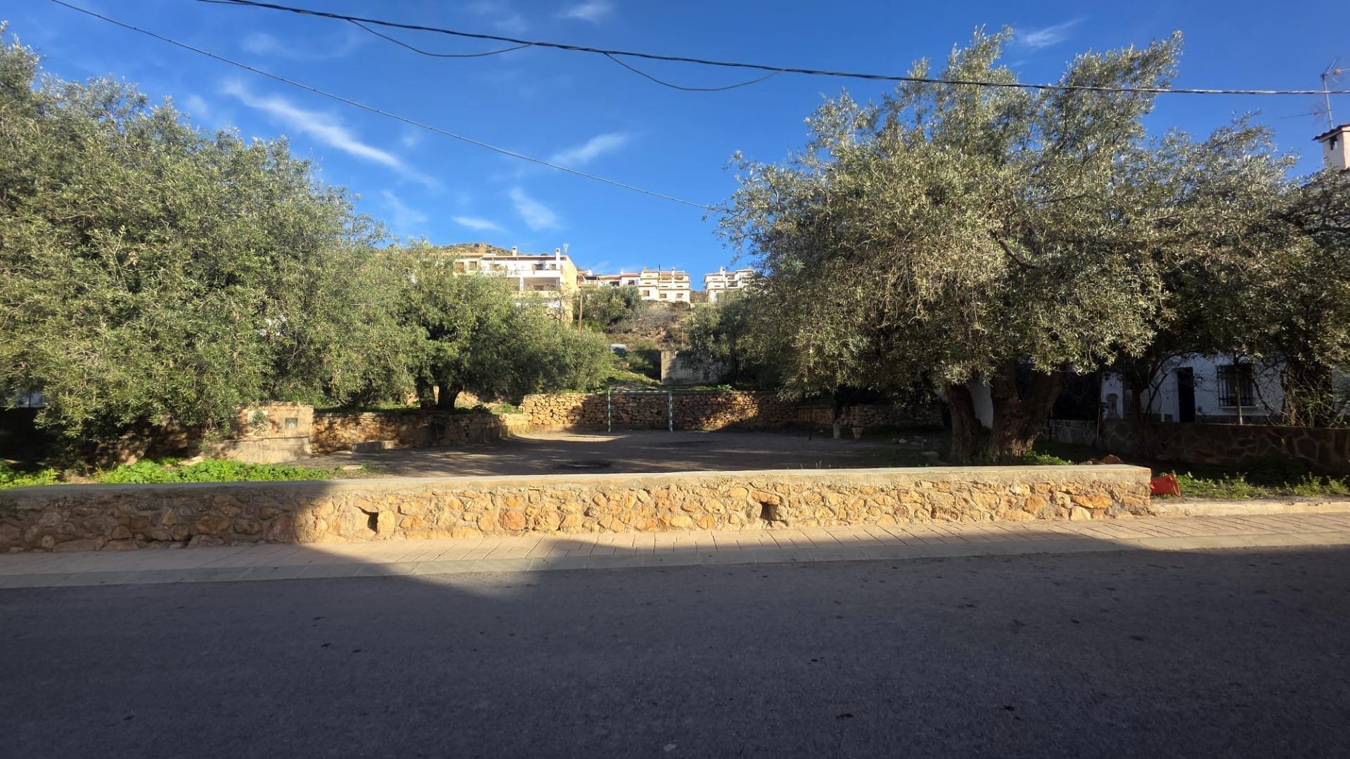 Fincas y solares-Venta-LÃ¡ujar de Andarax-2207737-Foto-2