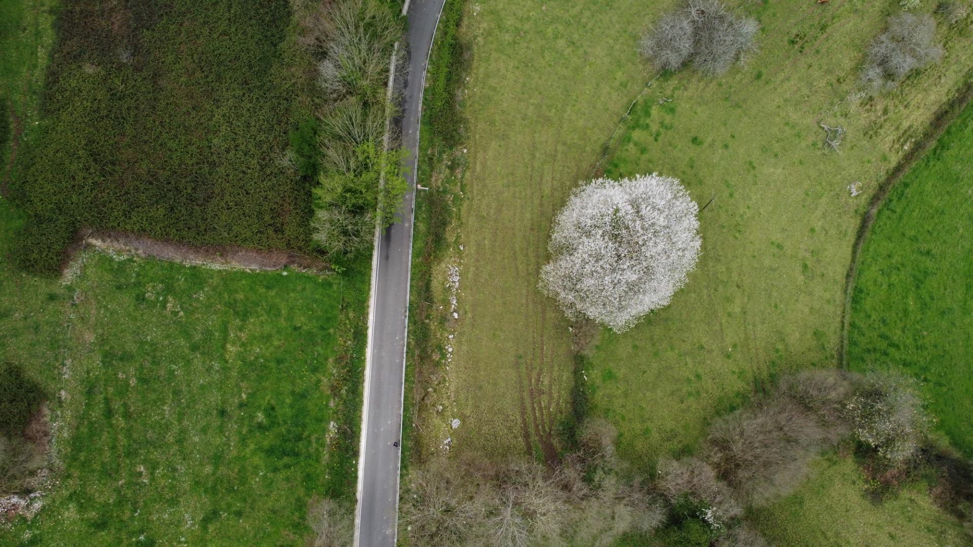 Fincas y solares-Venta-MorcÃ­n-2207740-Foto-2