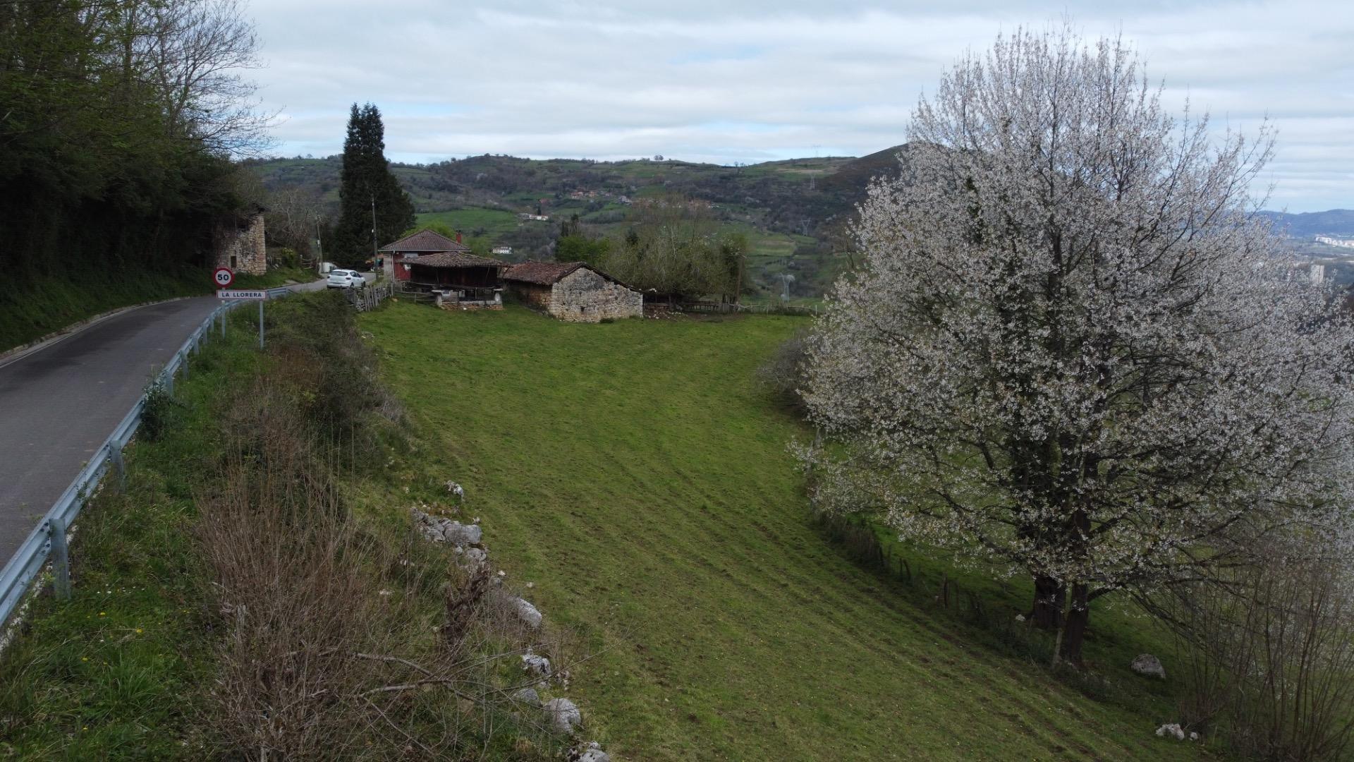 Fincas y solares-Venta-MorcÃ­n-2207740-Foto-4