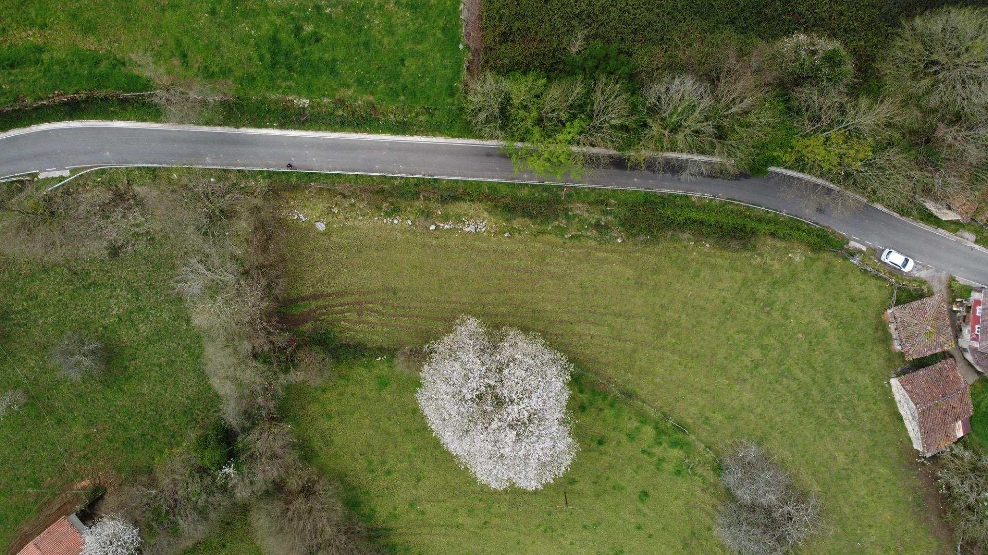 Fincas y solares-Venta-MorcÃ­n-2207740-Foto-3