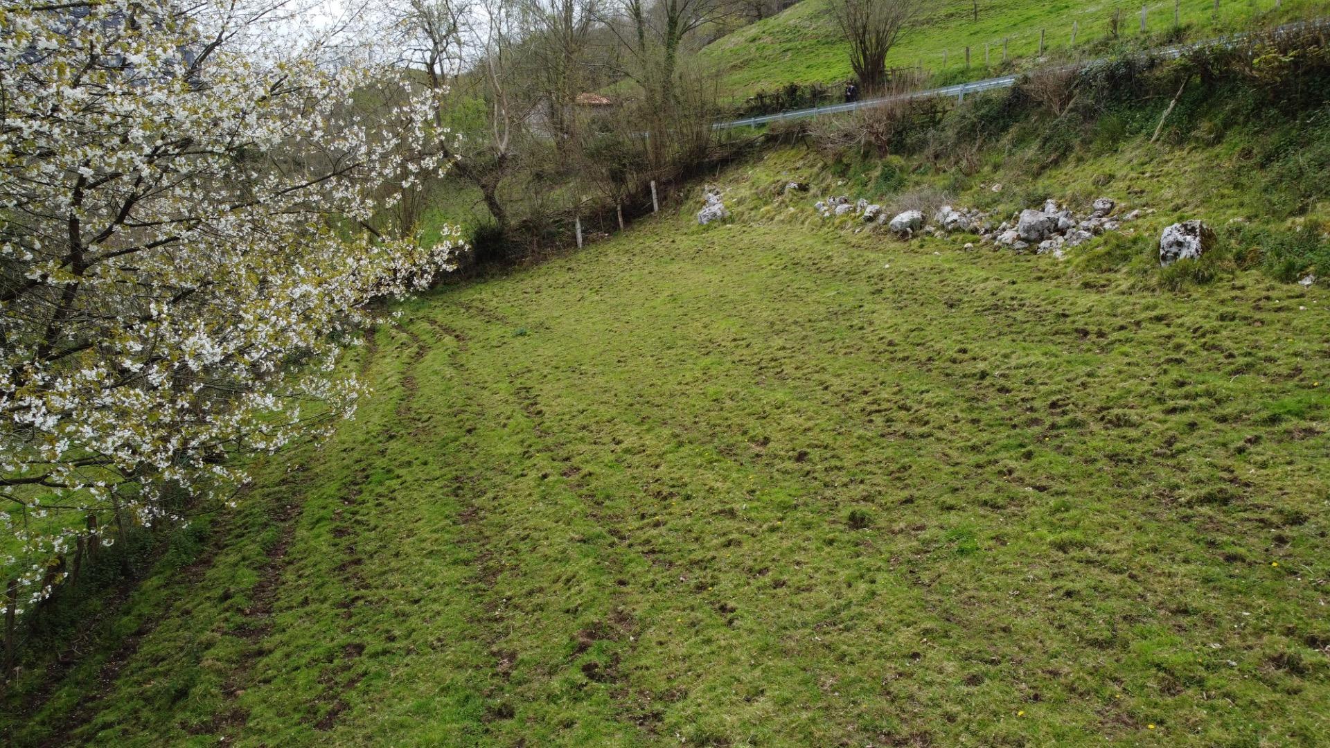 Fincas y solares-Venta-MorcÃ­n-2207740-Foto-5